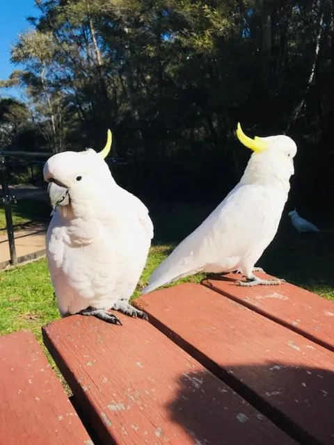 Property building in Gardners Inn Hotel
