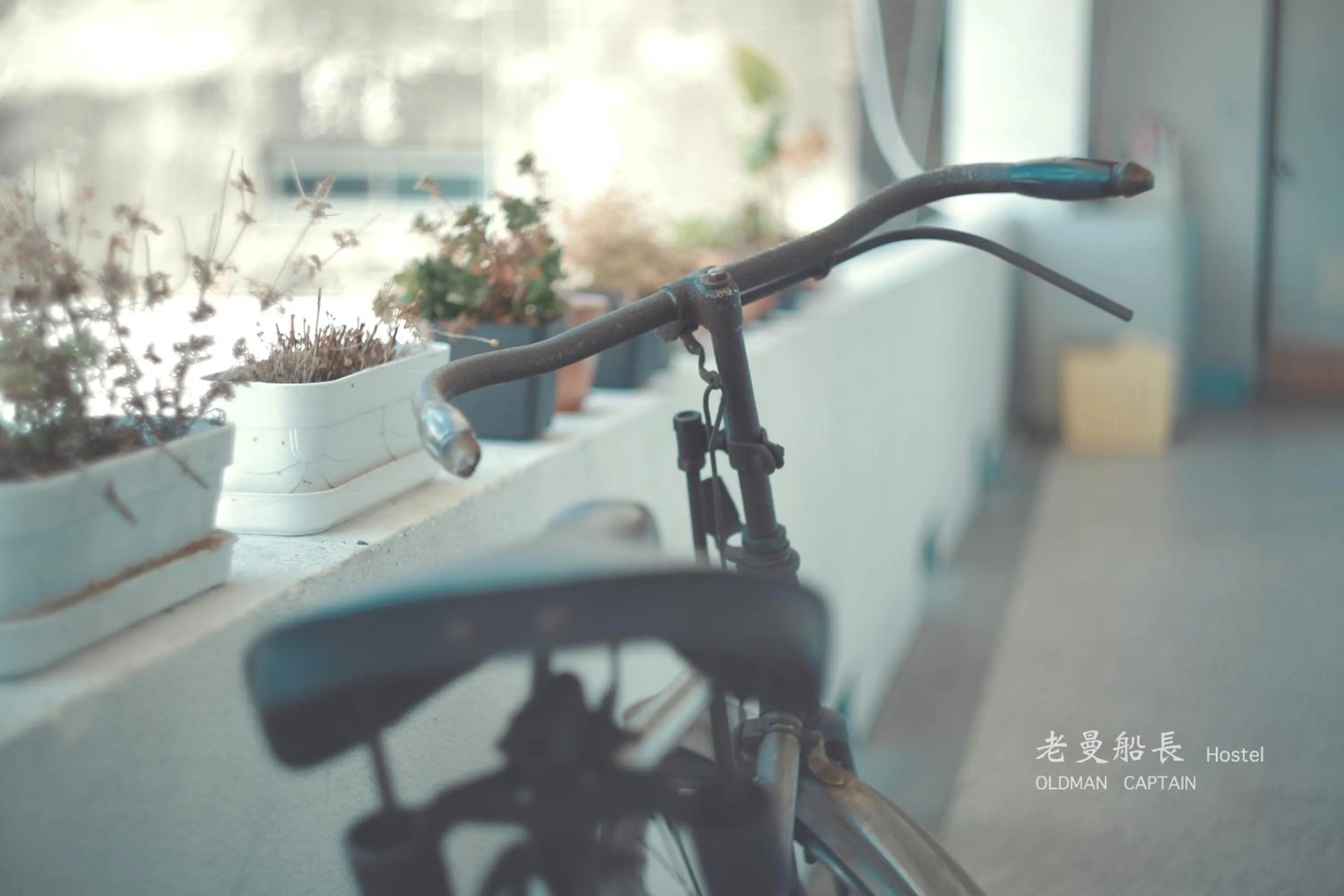 Balcony/Terrace in Old Man Captain