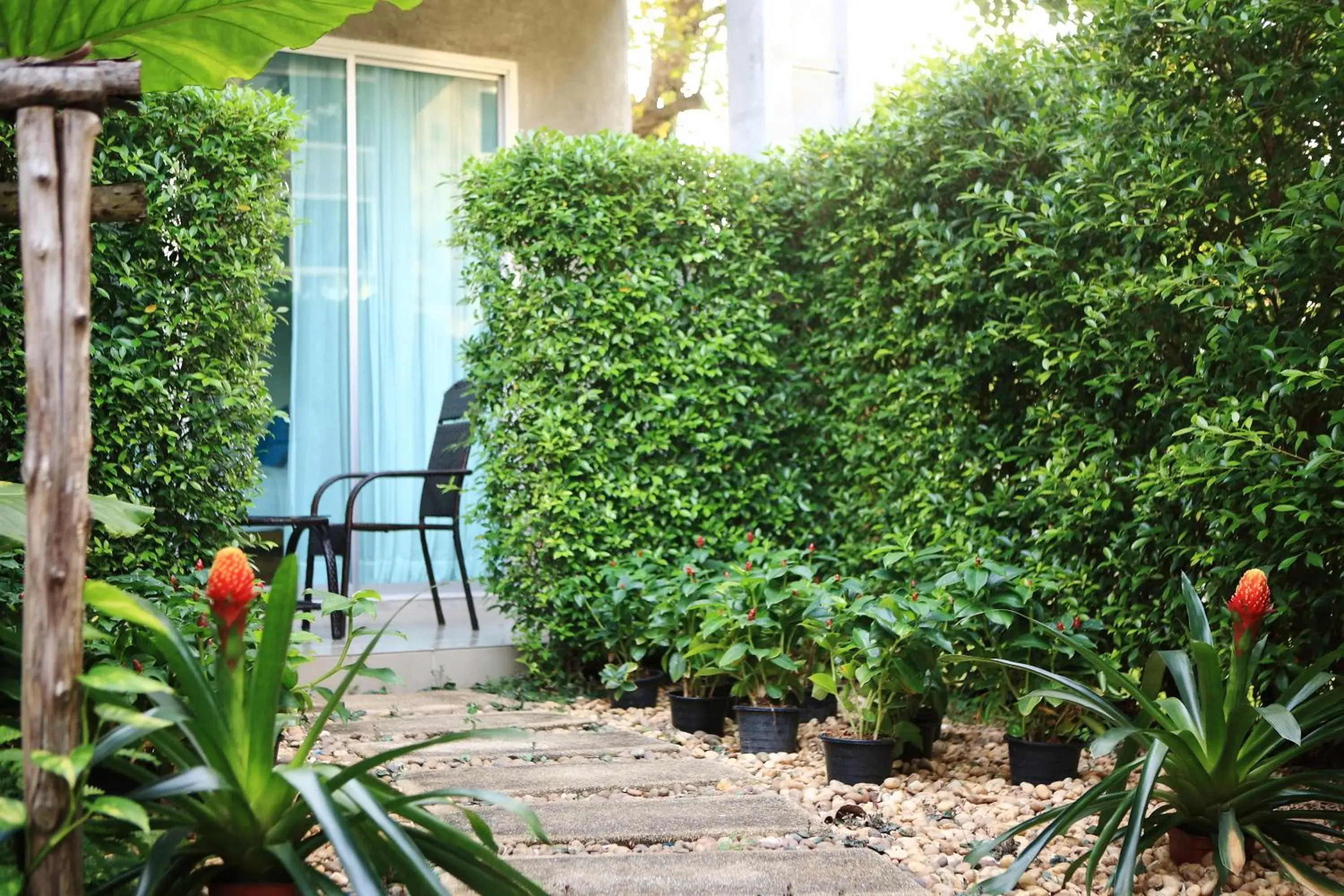 Garden view in The Malika Hotel - SHA Extra Plus Garden view in The Malika Hotel - SHA Extra Plus