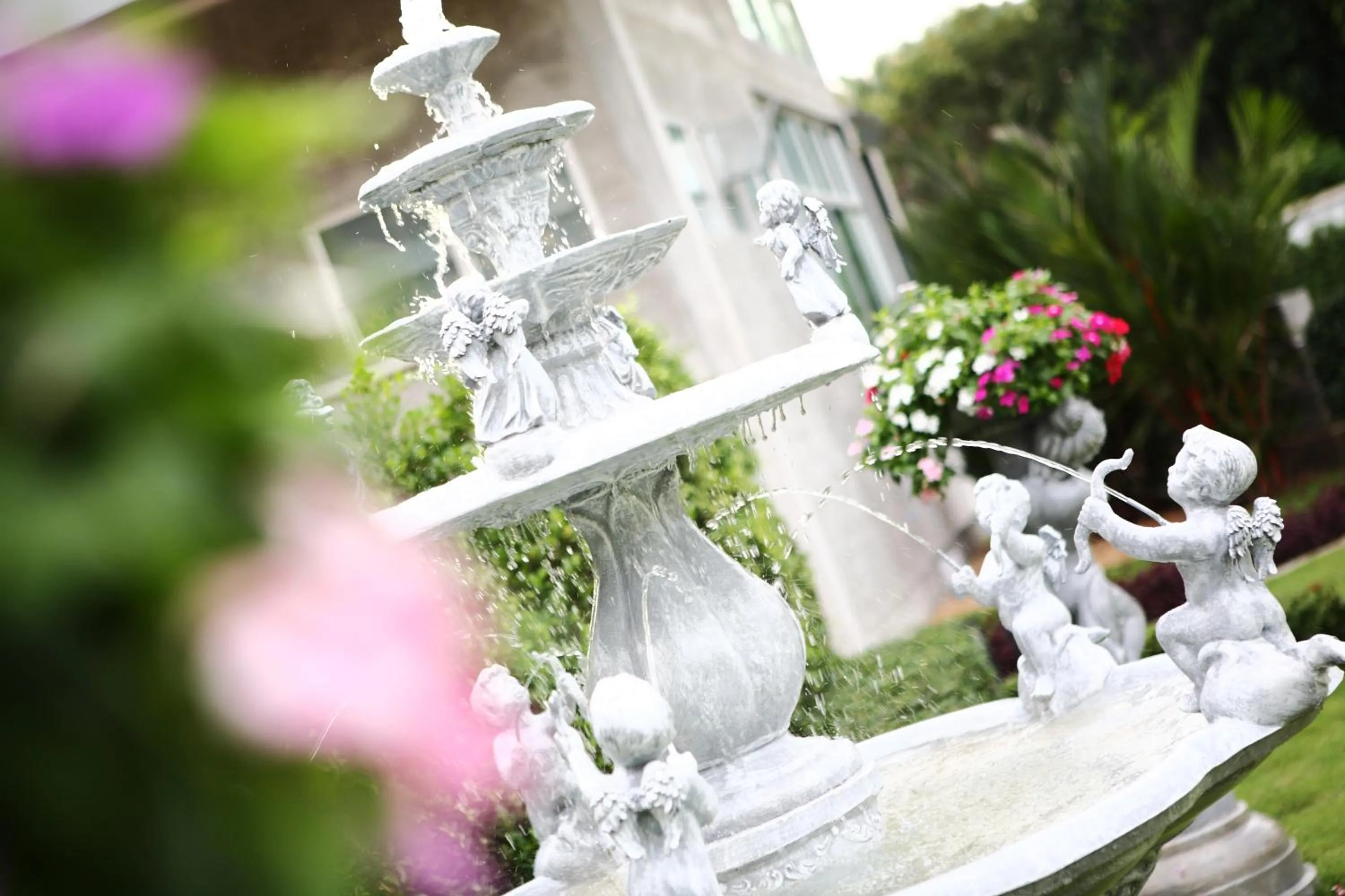 Garden in The Malika Hotel - SHA Extra Plus