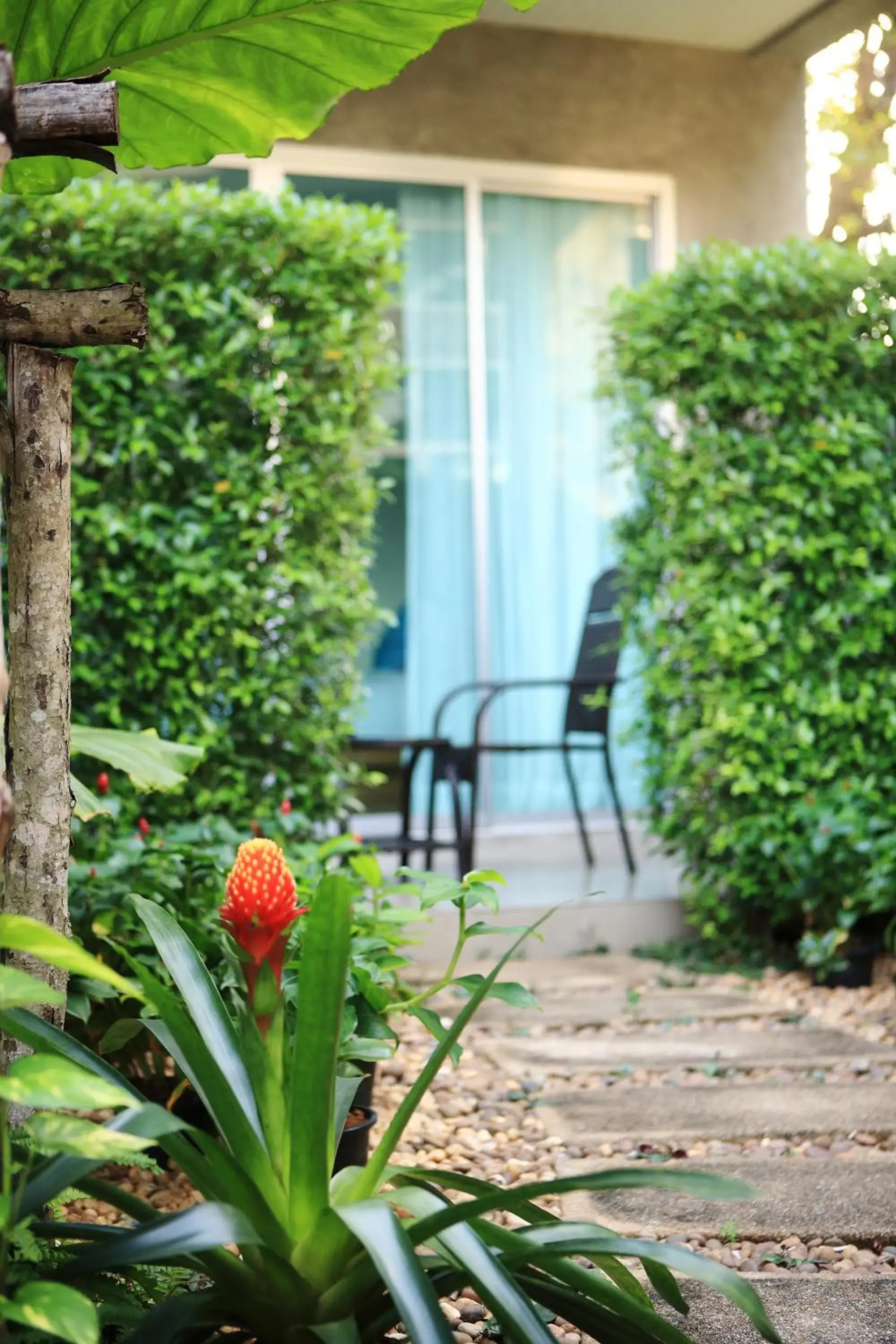 Garden view in The Malika Hotel - SHA Extra Plus Garden view in The Malika Hotel - SHA Extra Plus