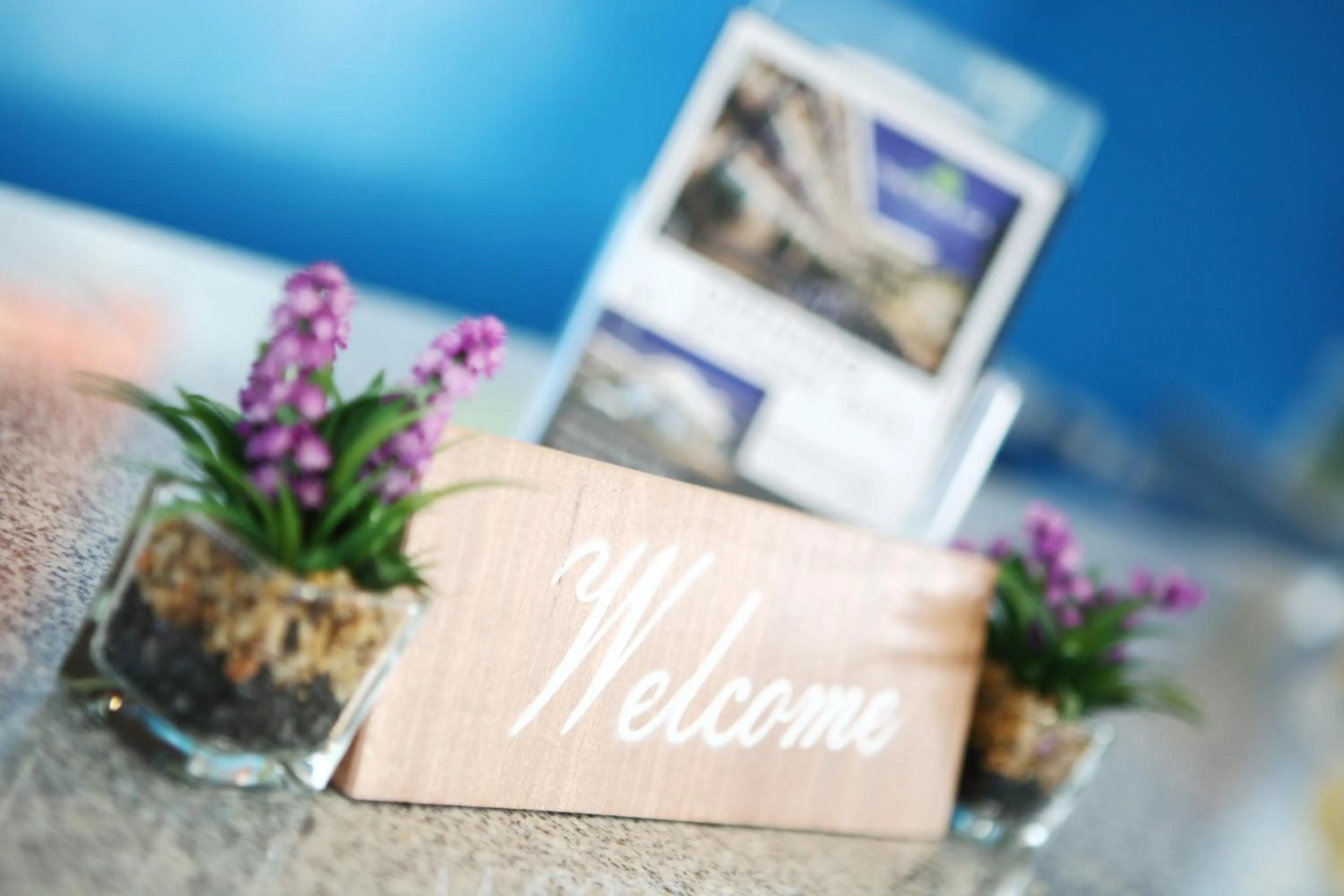 Lobby or reception in The Malika Hotel - SHA Extra Plus