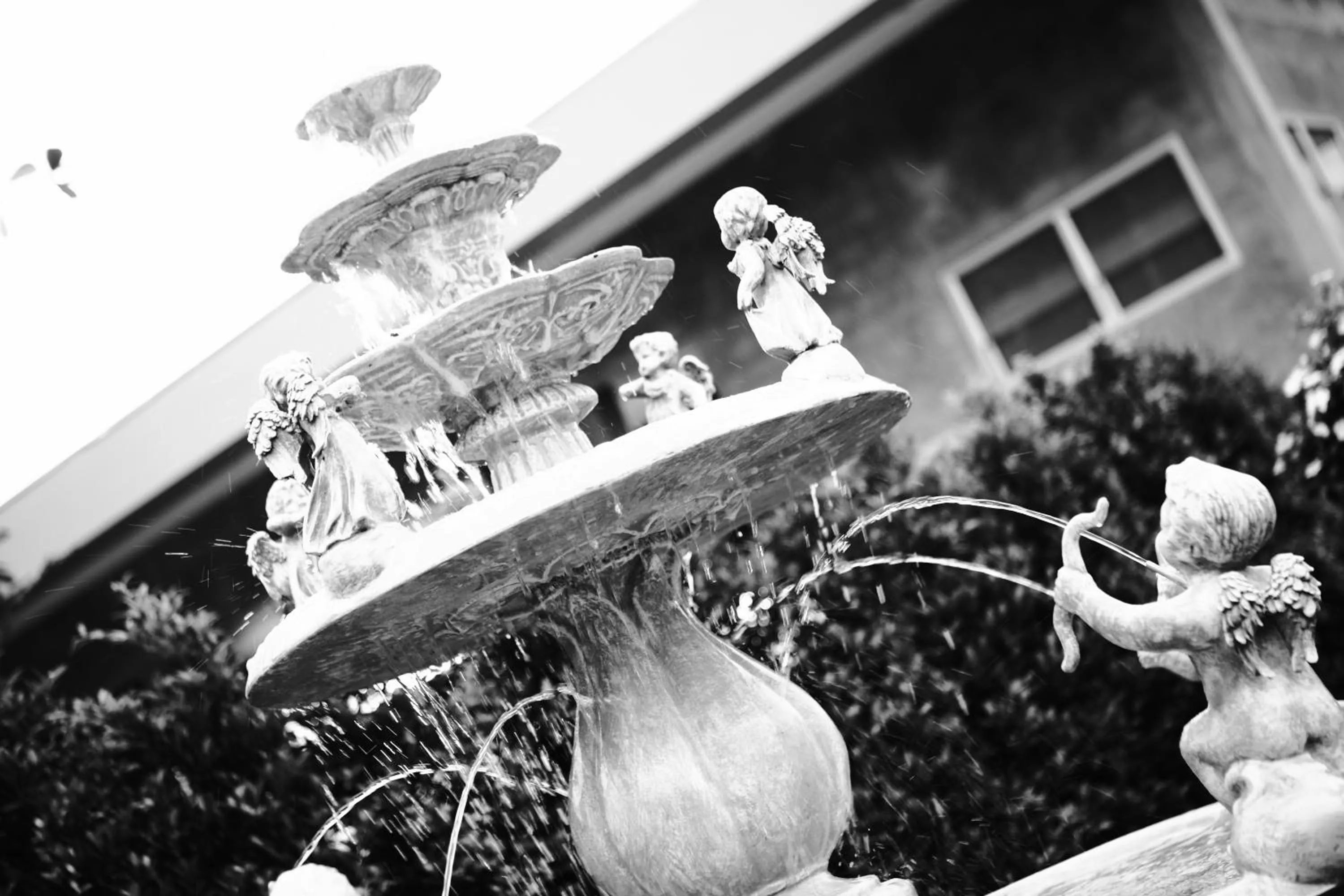 Garden in The Malika Hotel - SHA Extra Plus