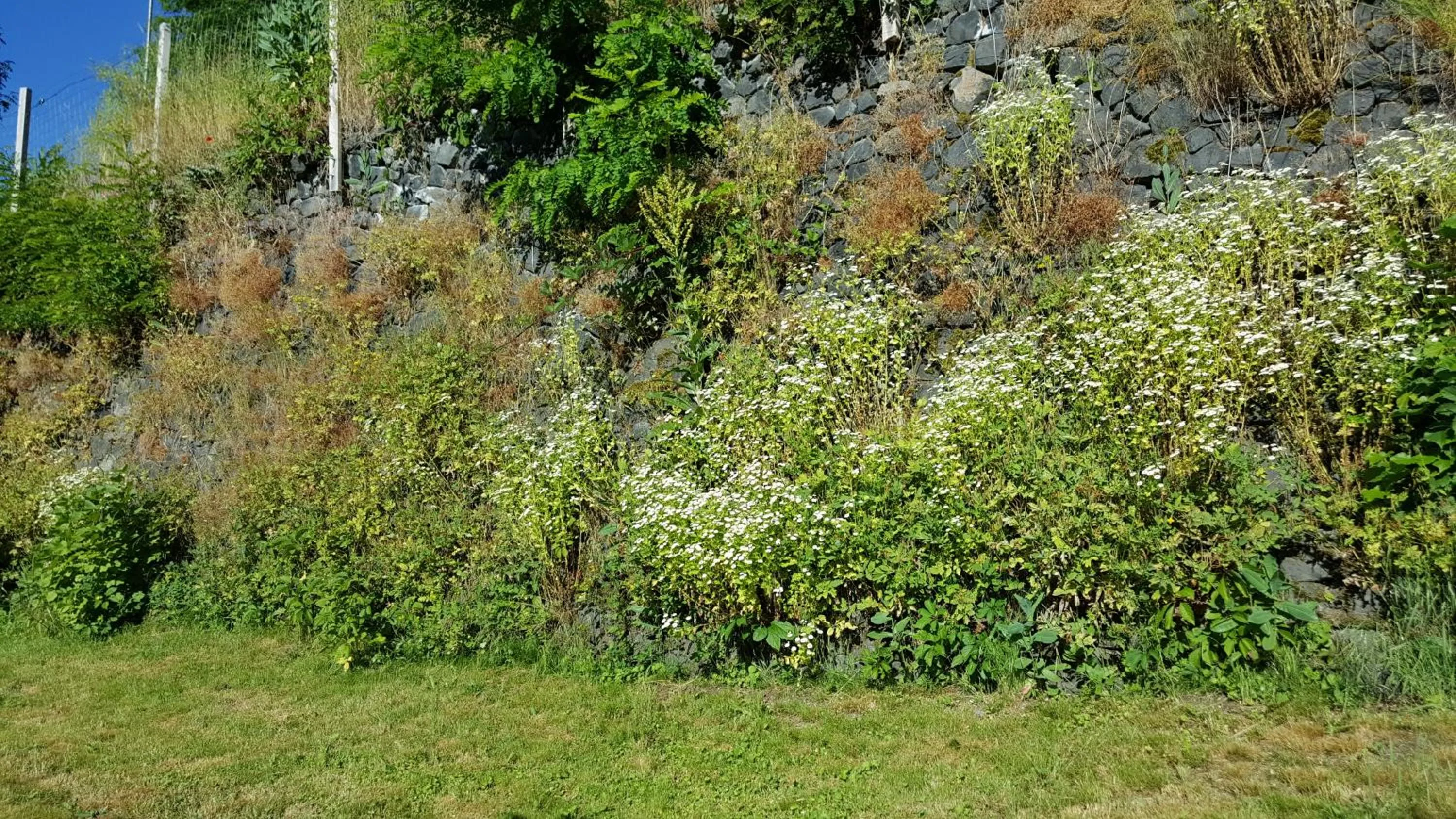 Garden in Relais des castors