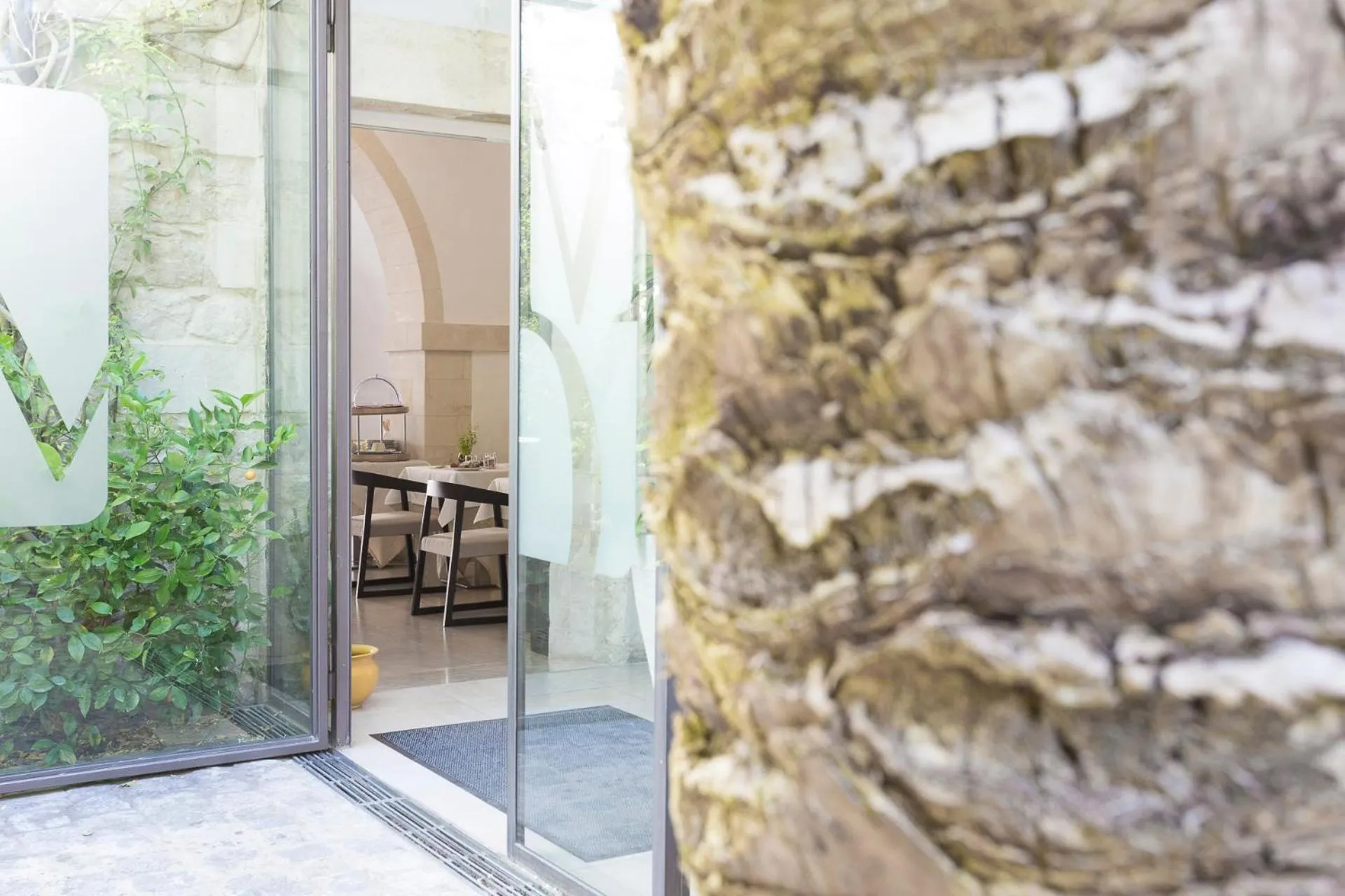 Garden in Hotel Novecento