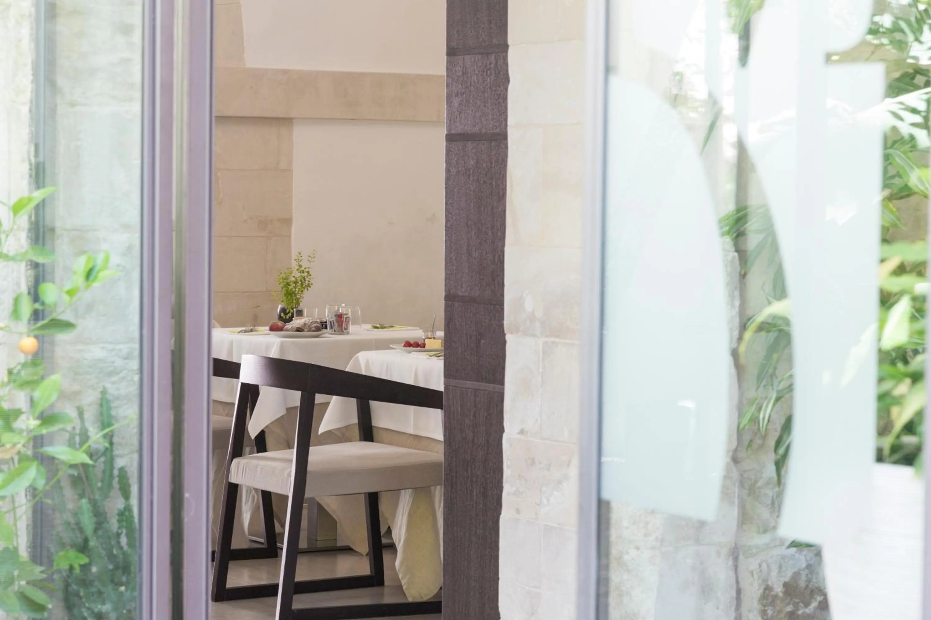 Garden in Hotel Novecento