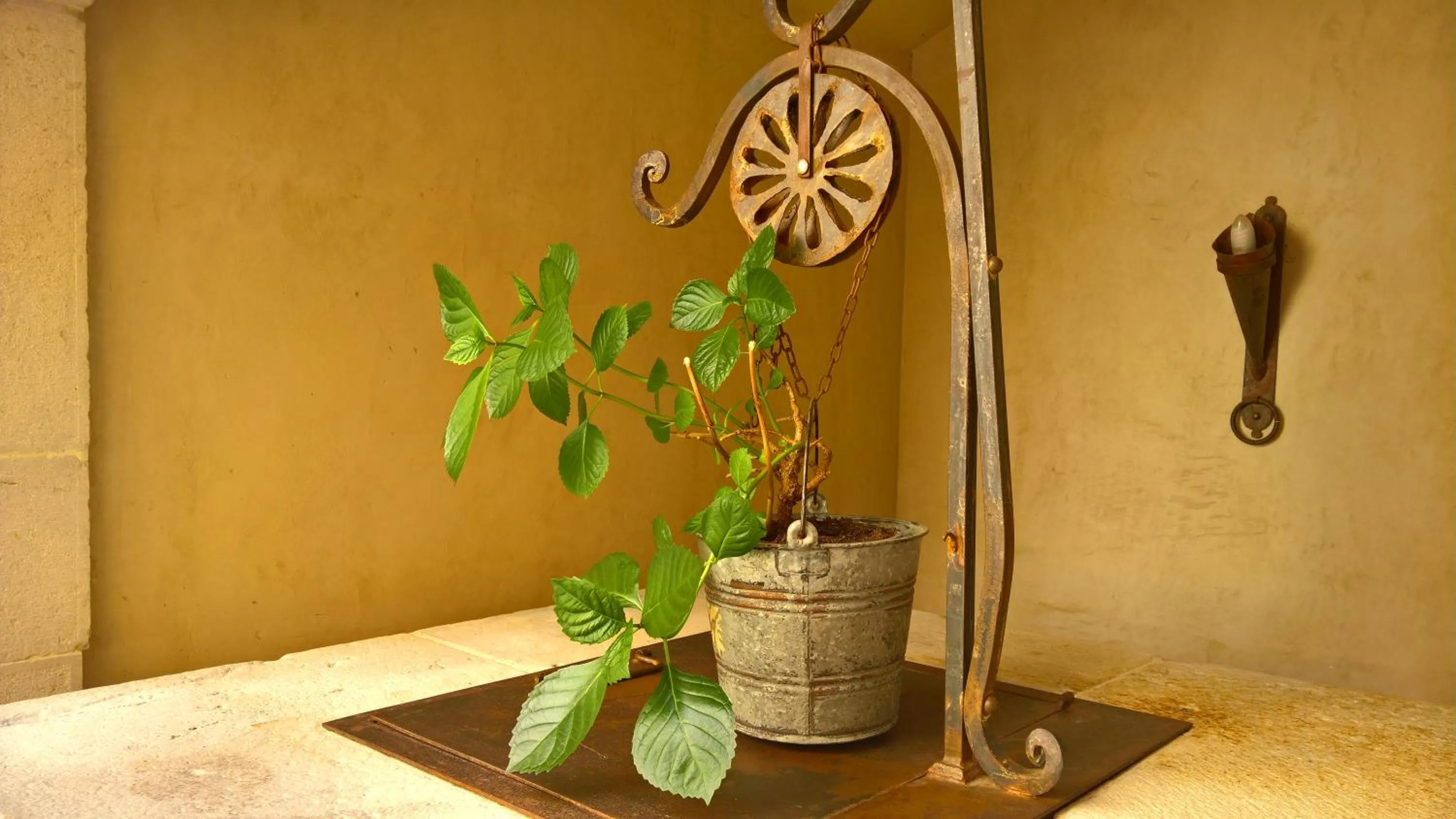 Decorative detail in Antichi Feudi Dimora D'Epoca