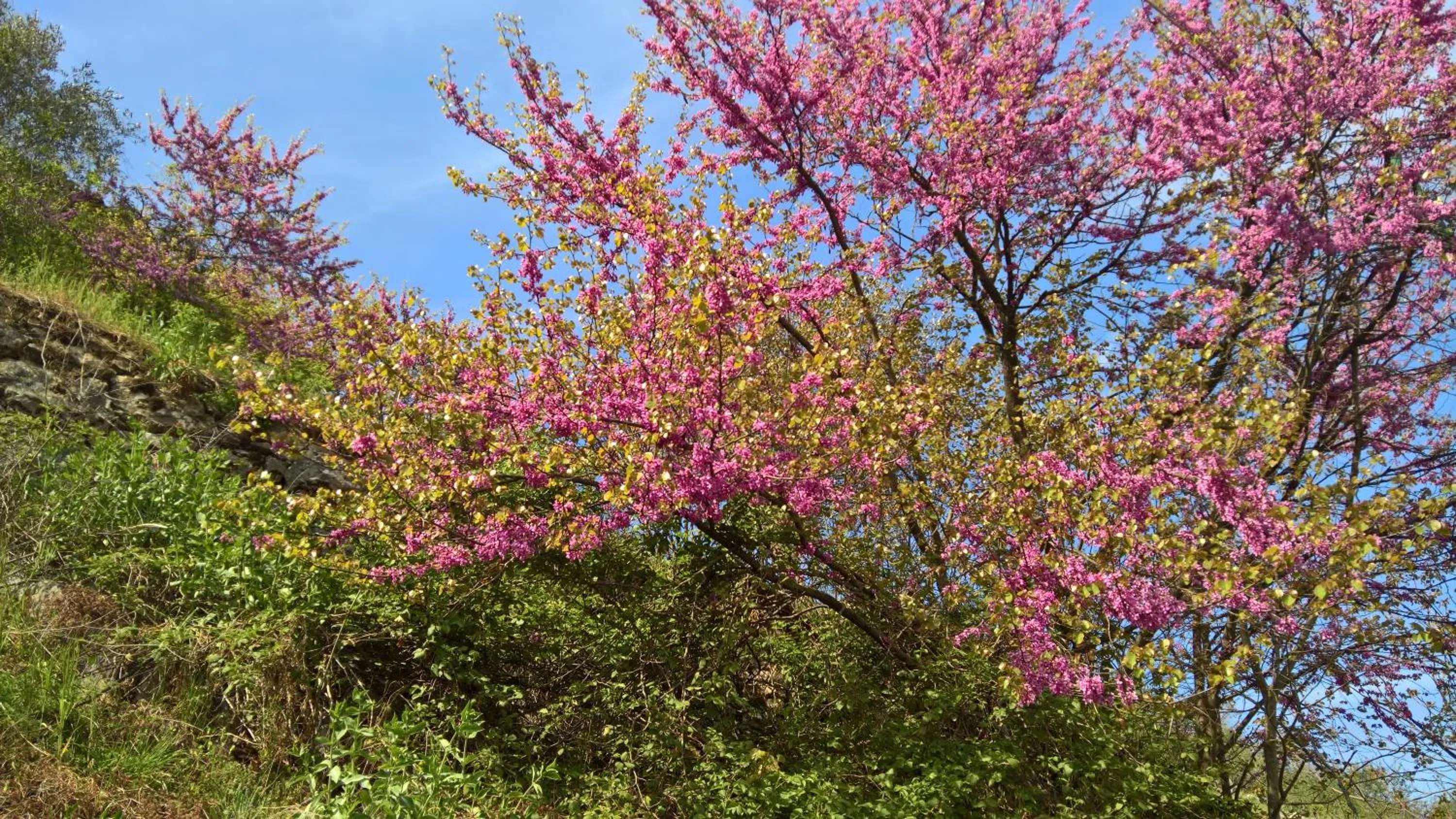 Nearby landmark in Antichi Feudi Dimora D'Epoca