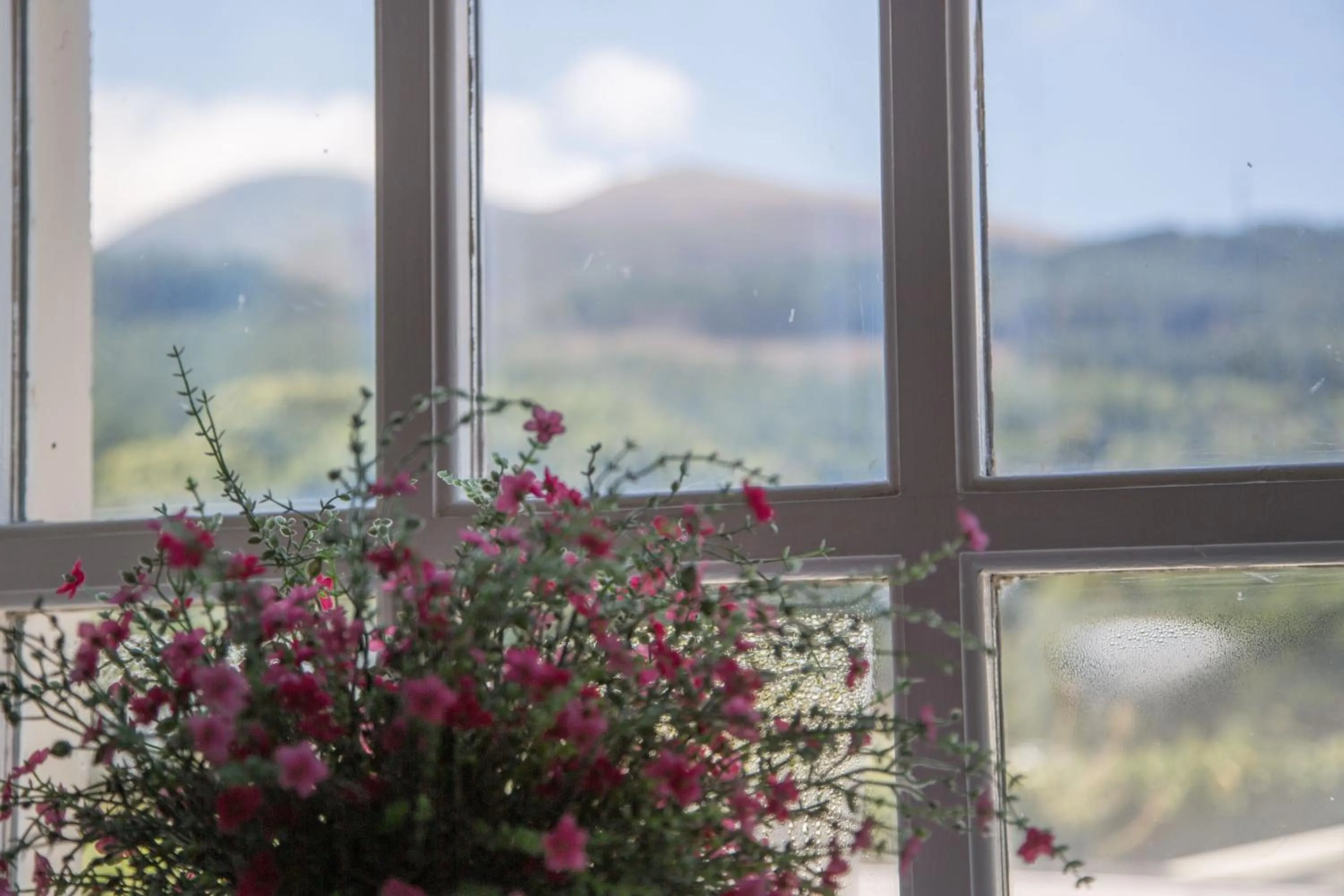 Decorative detail in The Haven