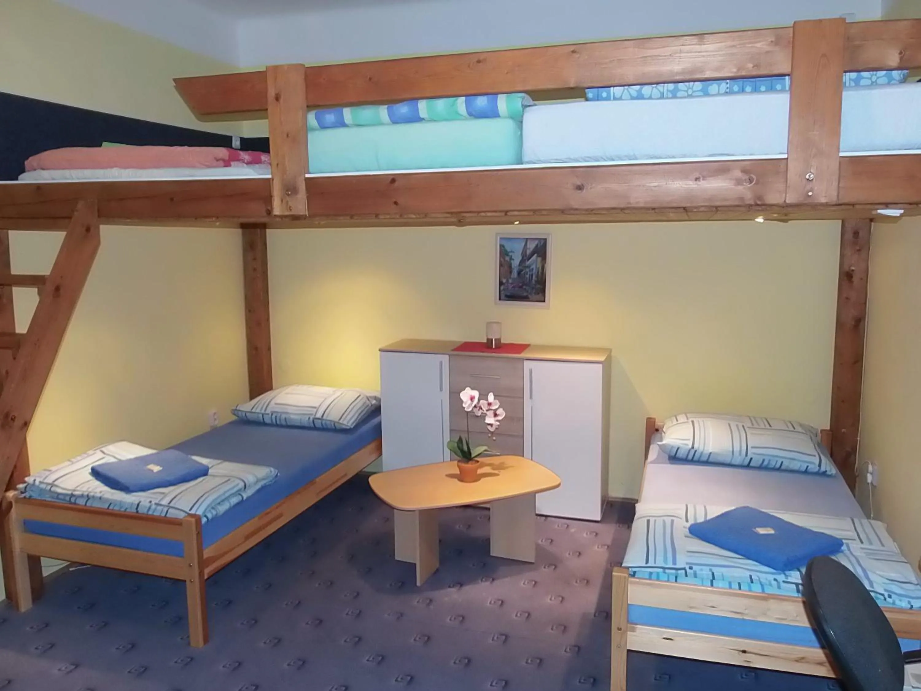 Junior Suite - single occupancy in Penzion Netolice