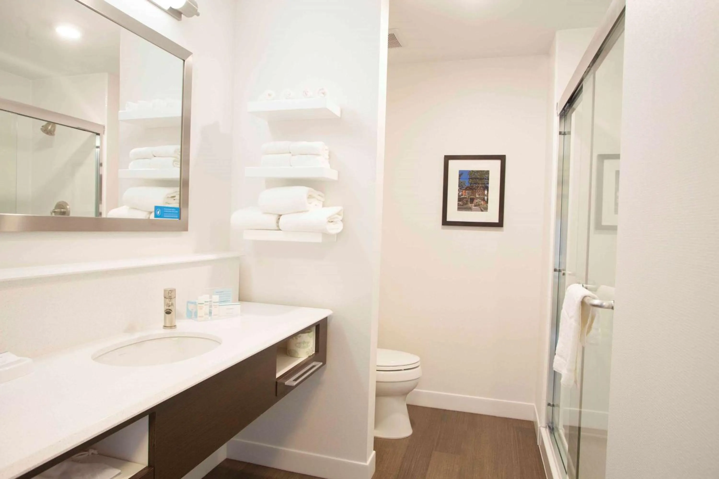 Bathroom in Hampton Inn & Suites St. Paul Downtown