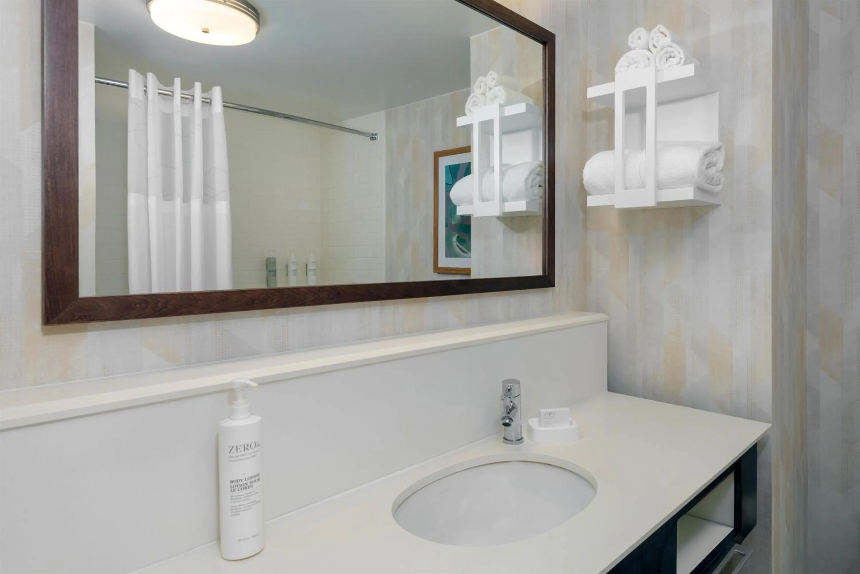 Bathroom in Hampton Inn & Suites Tampa Airport Avion Park Westshore