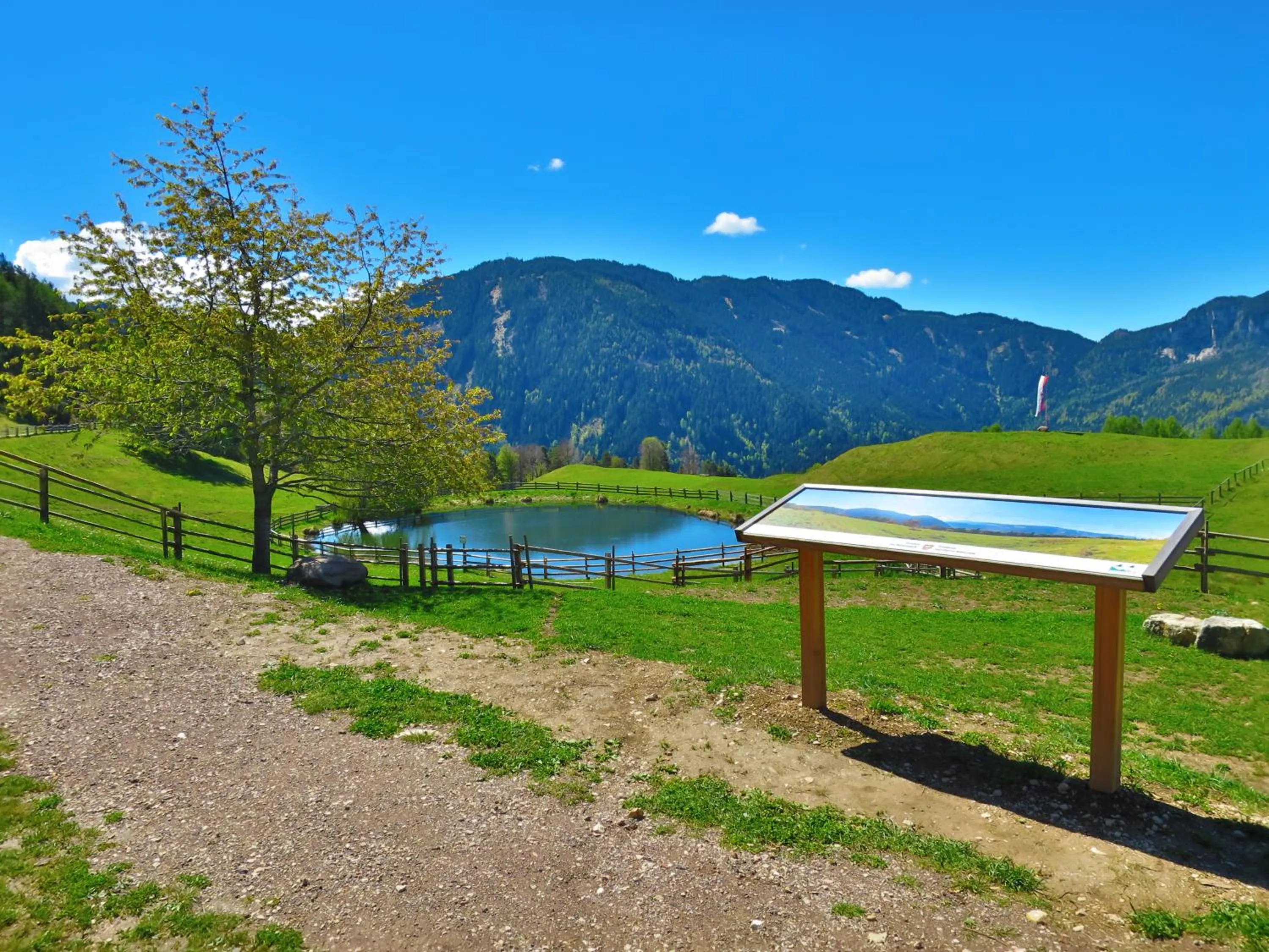 Natural landscape in Hotel Trudnerhof im Naturpark Trudnerhorn