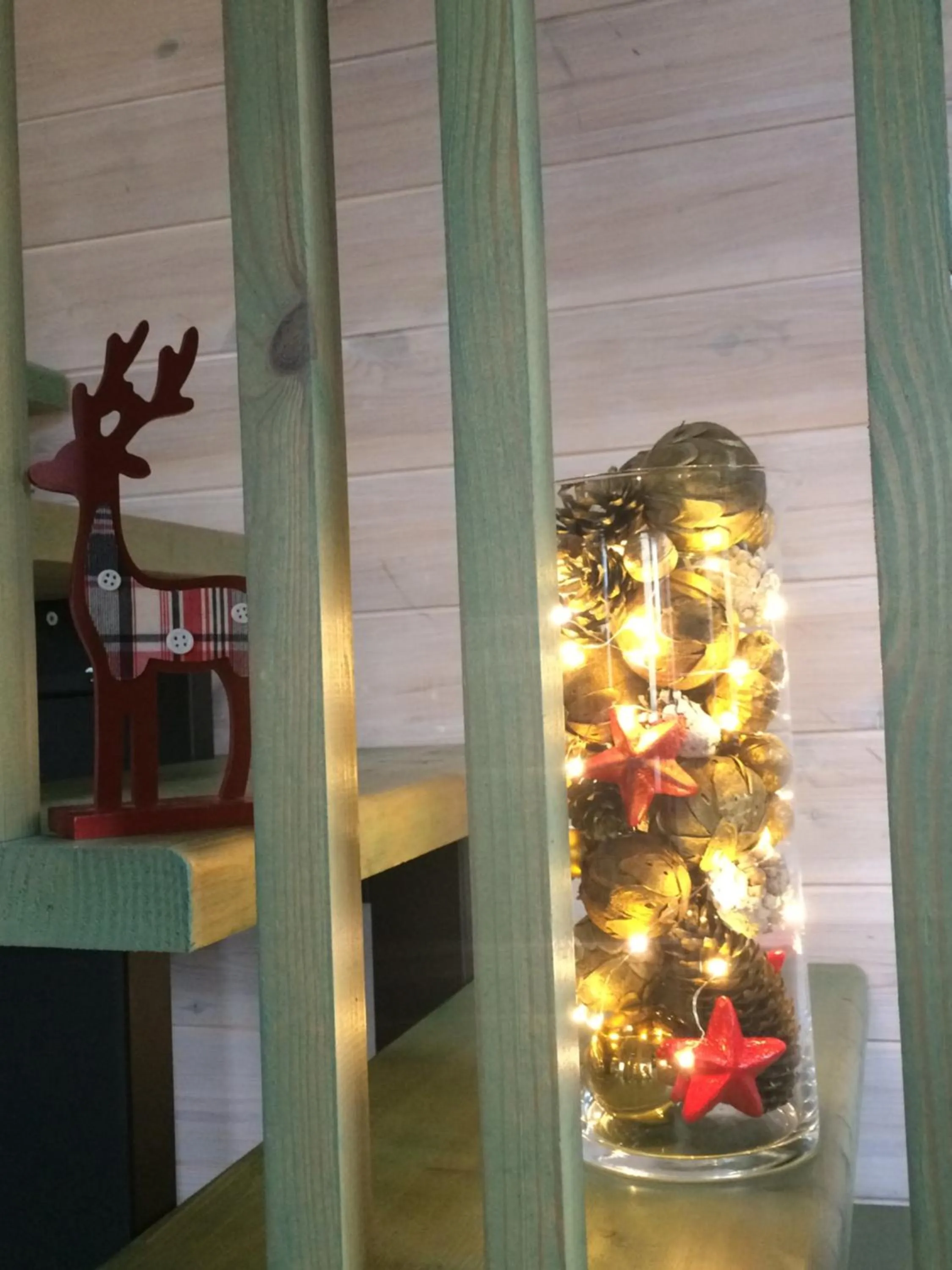 Area and facilities in Guest House Mr Fox