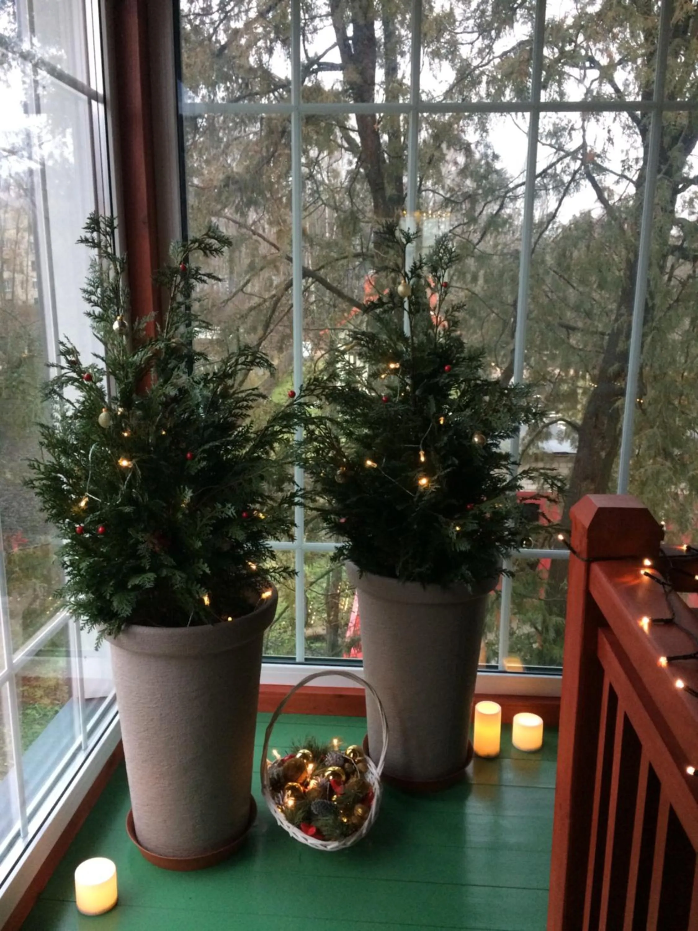 Area and facilities in Guest House Mr Fox