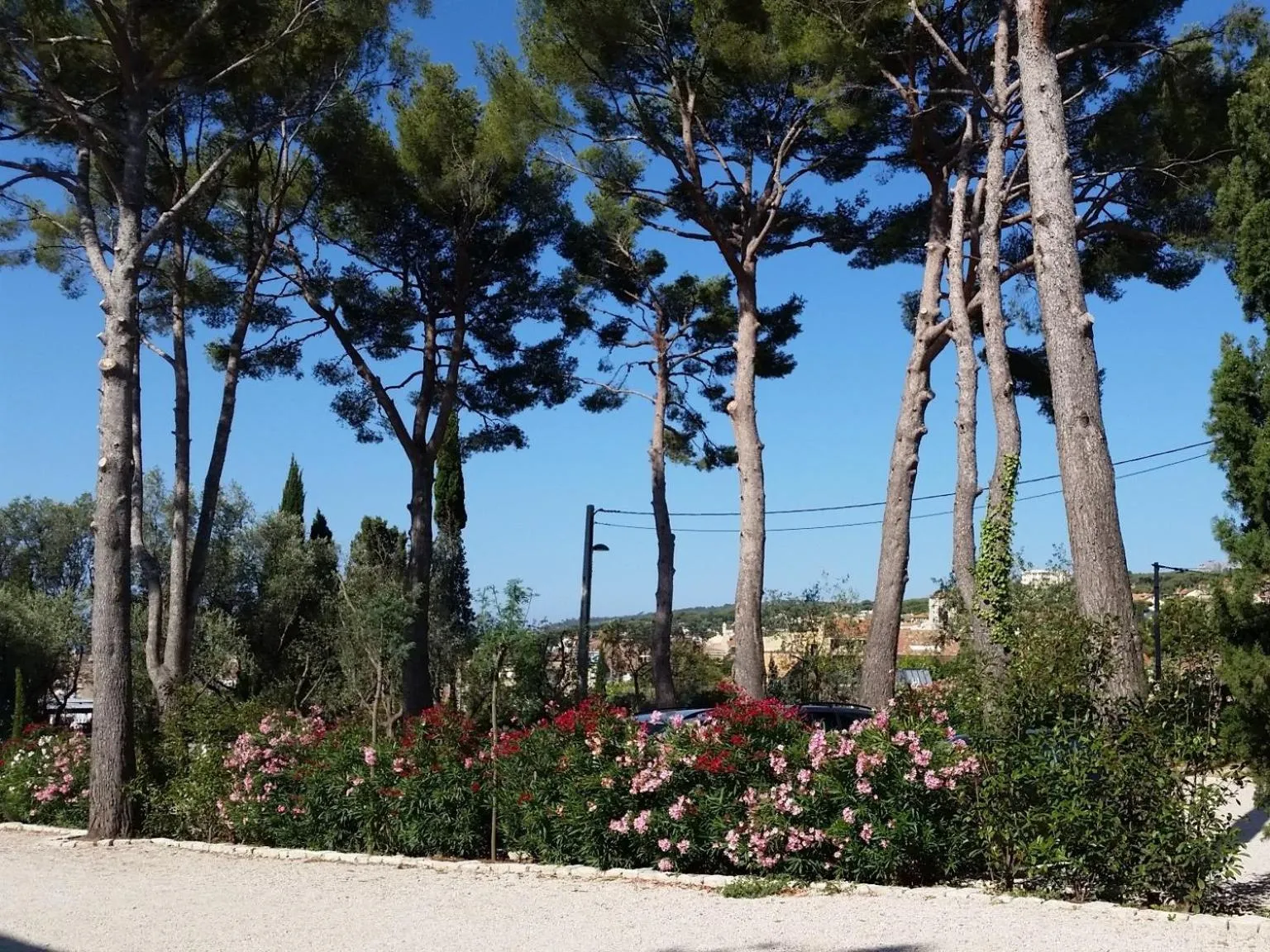 Property building in HPC Suites - Parking Gratuit &amp; Piscine Chauffée en saison