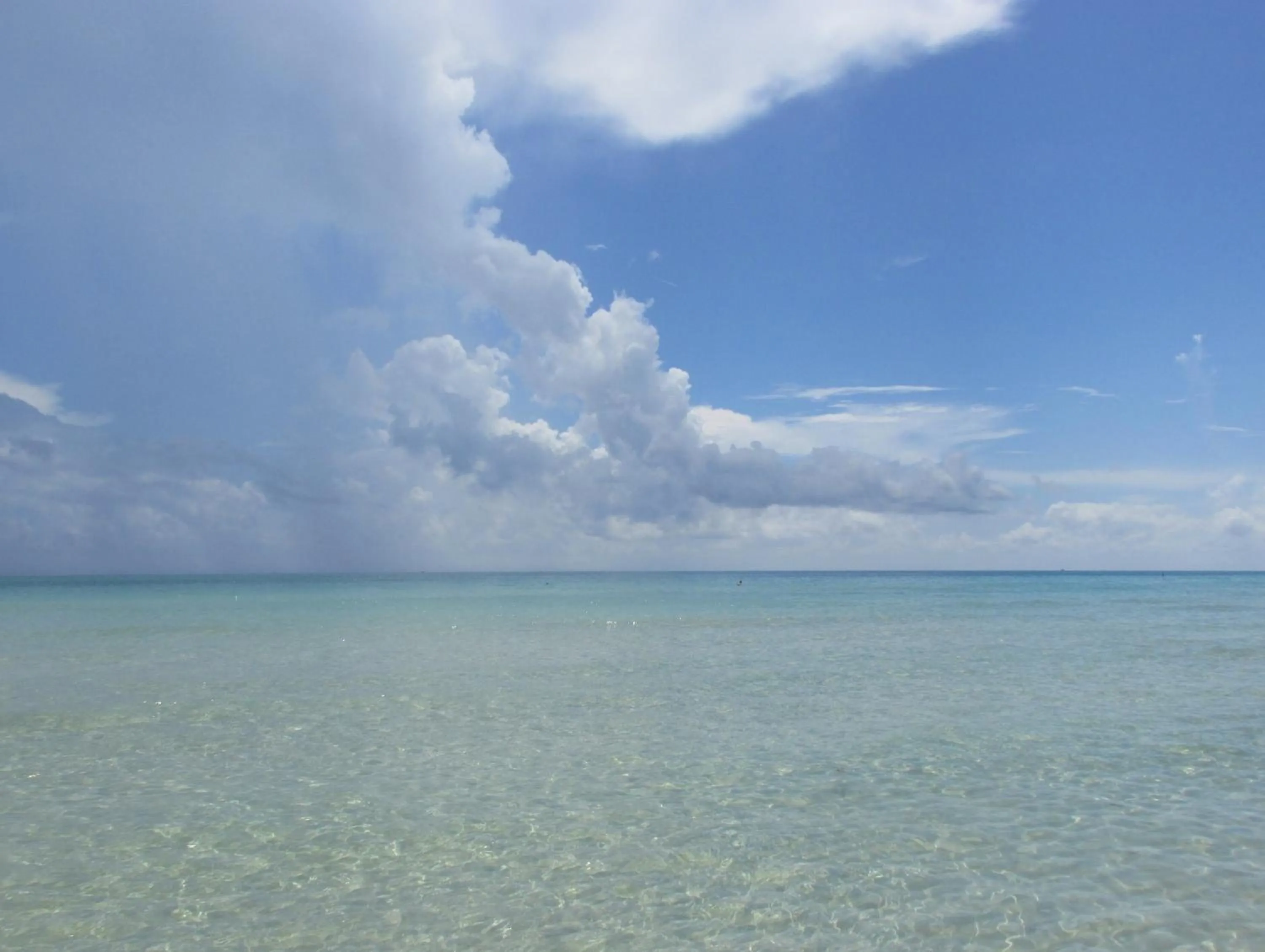 Beach in Ocean Breeze