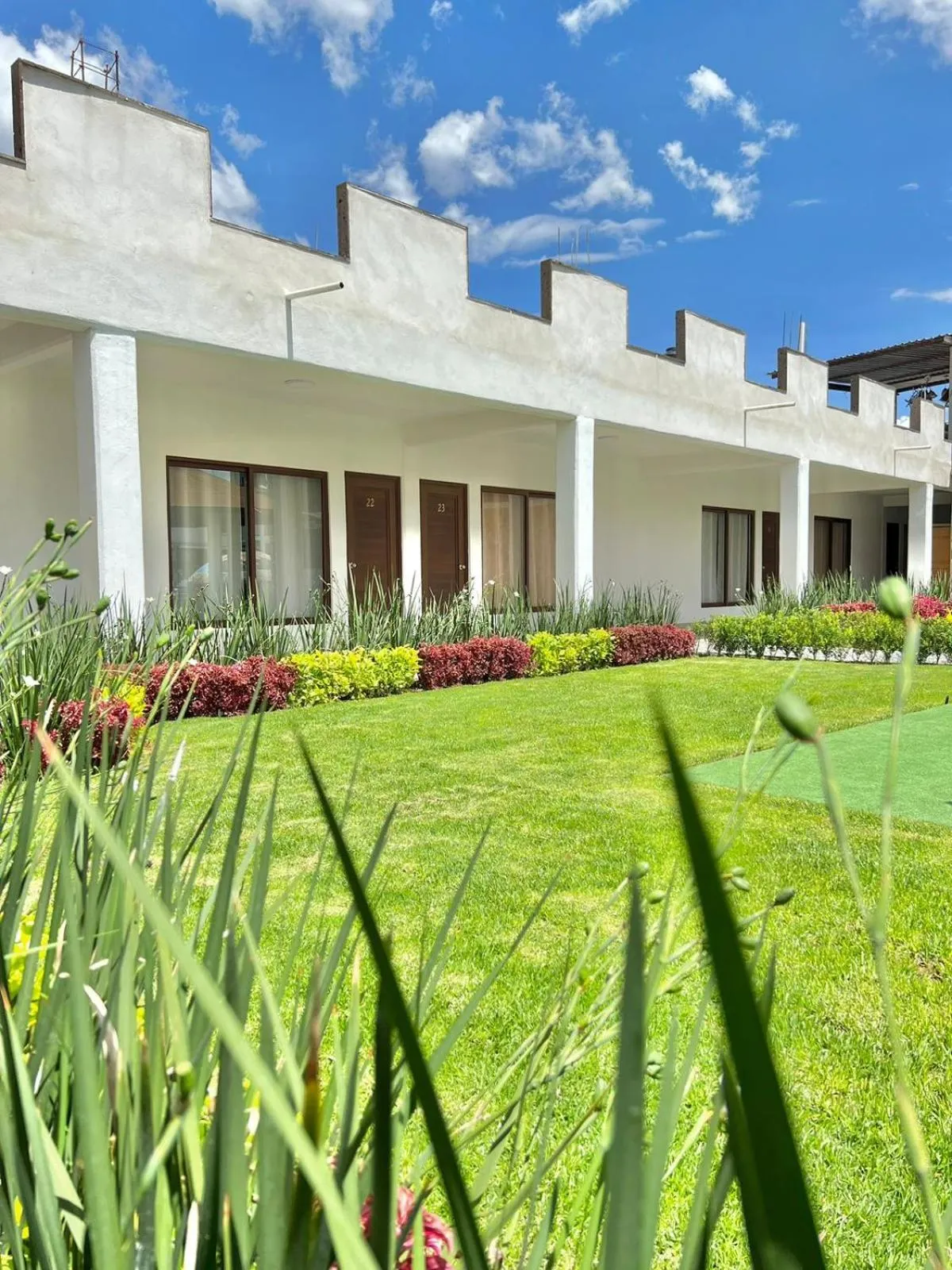 Garden in Hotel El Jaguar