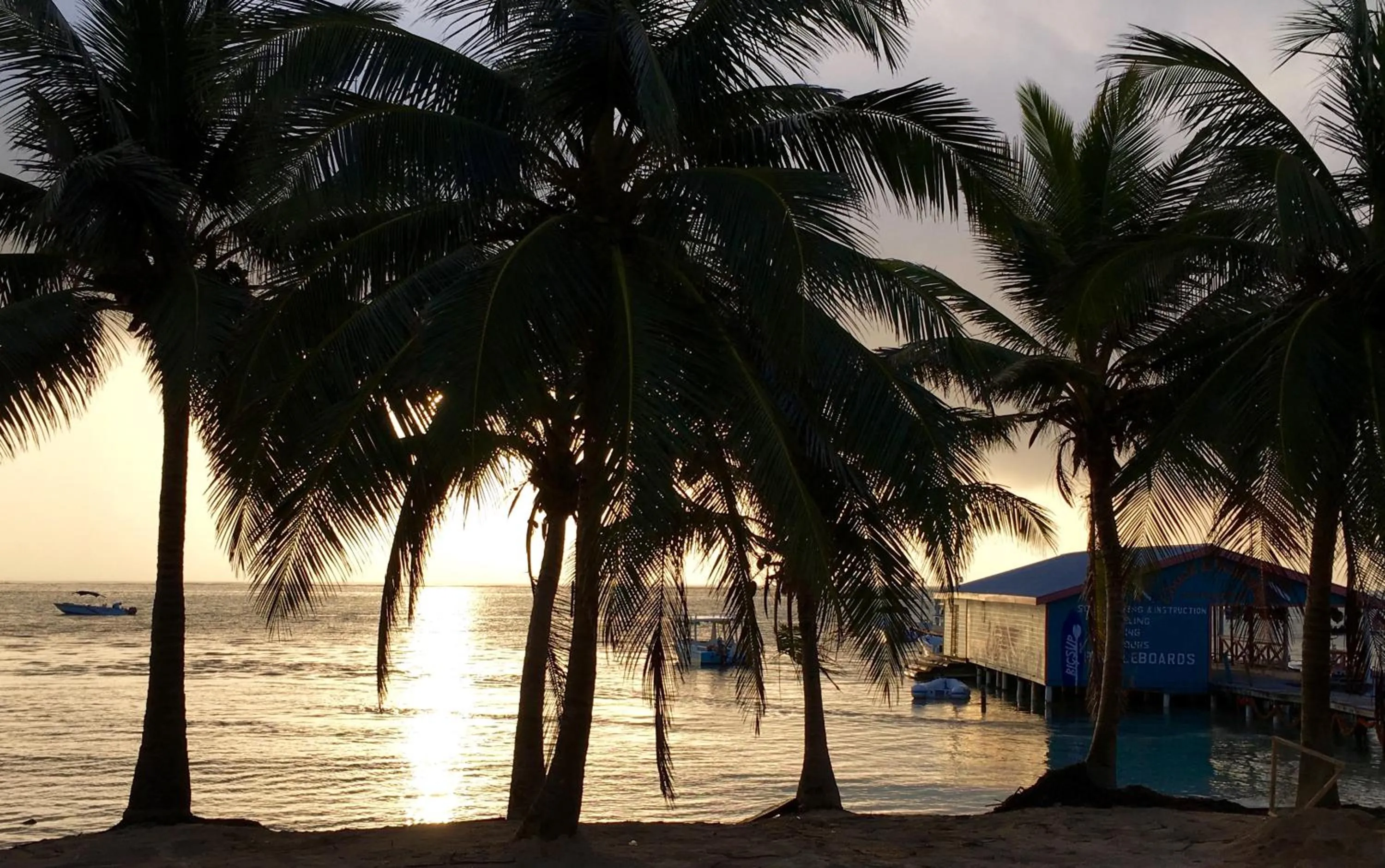 Beach in The Palapa House