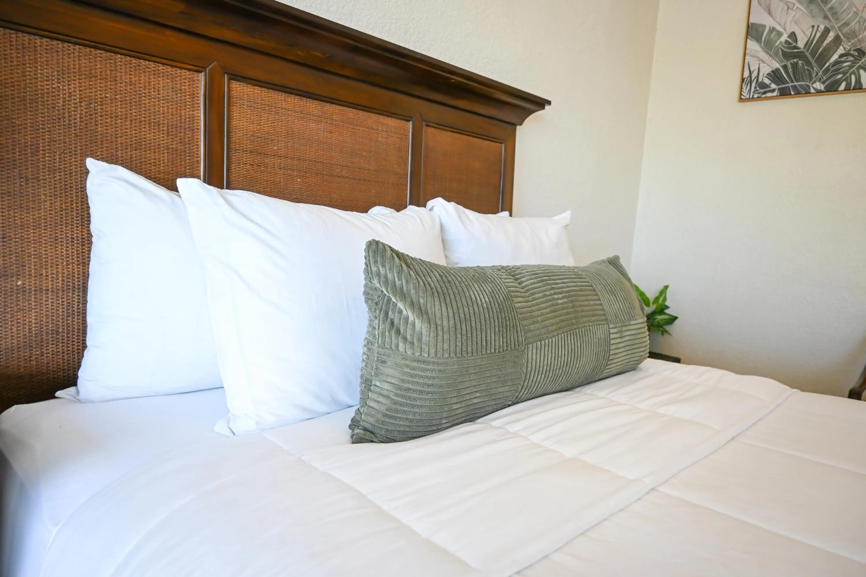 Bed in The Palapa House