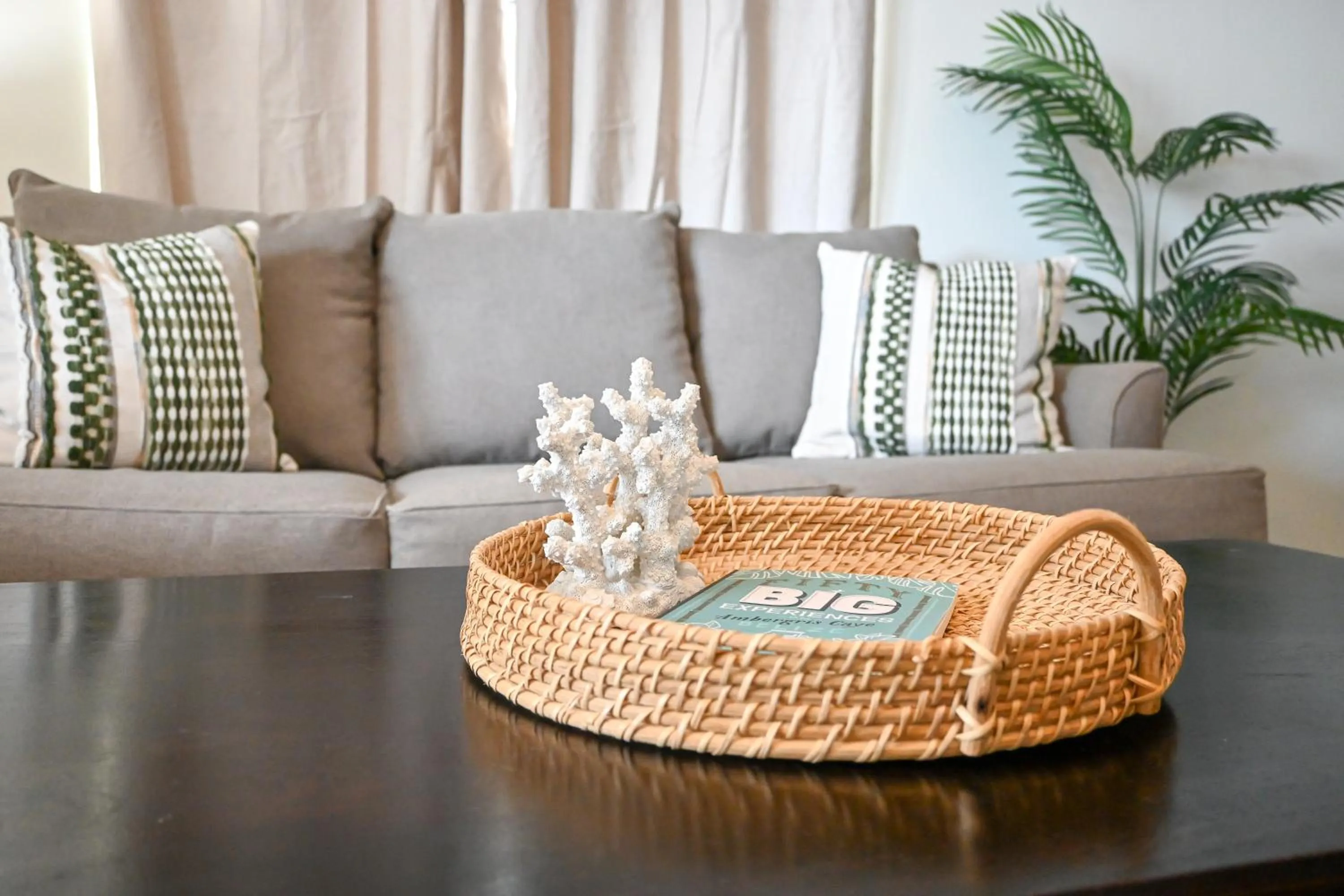 Living room in The Palapa House