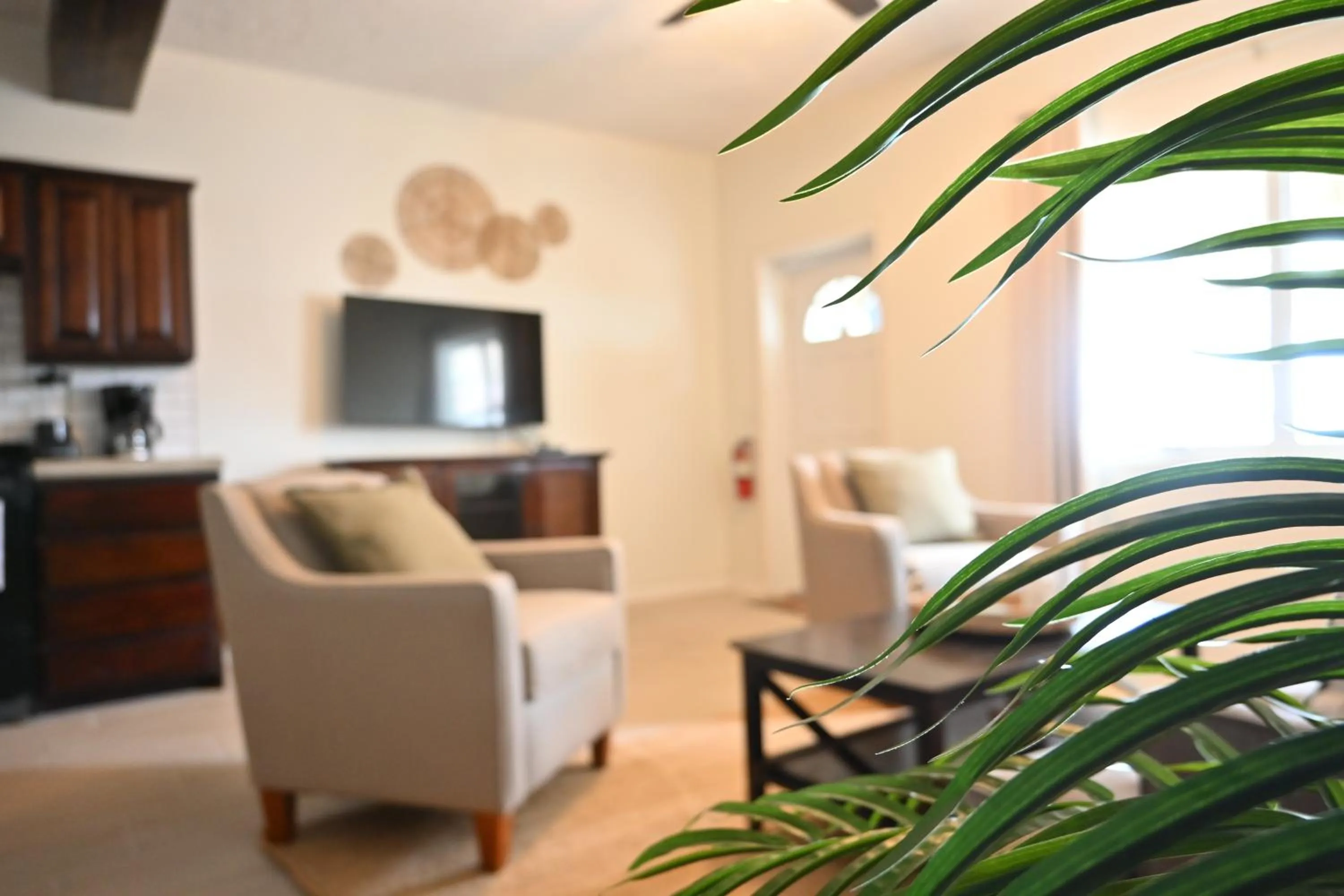 Living room in The Palapa House