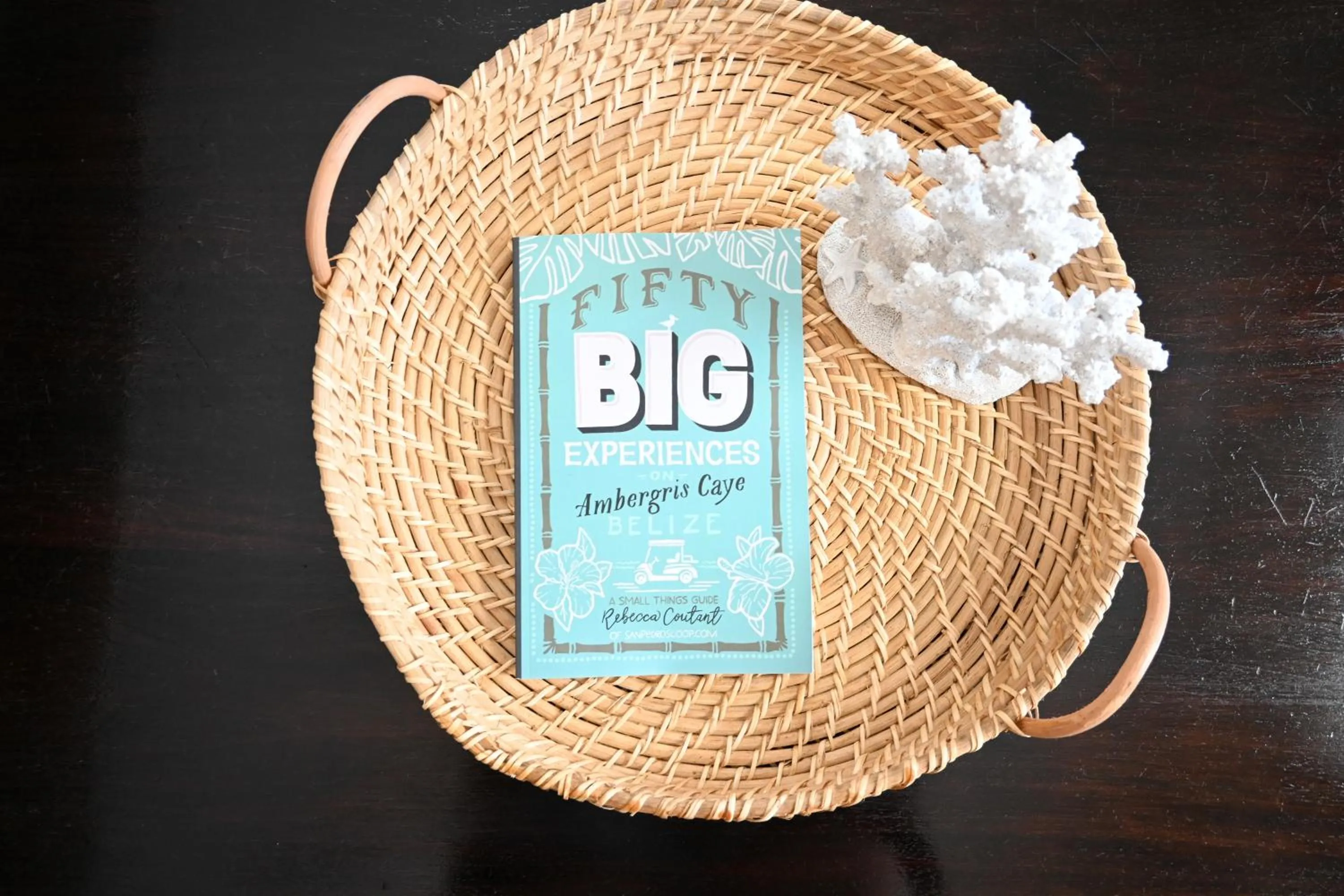 Living room in The Palapa House