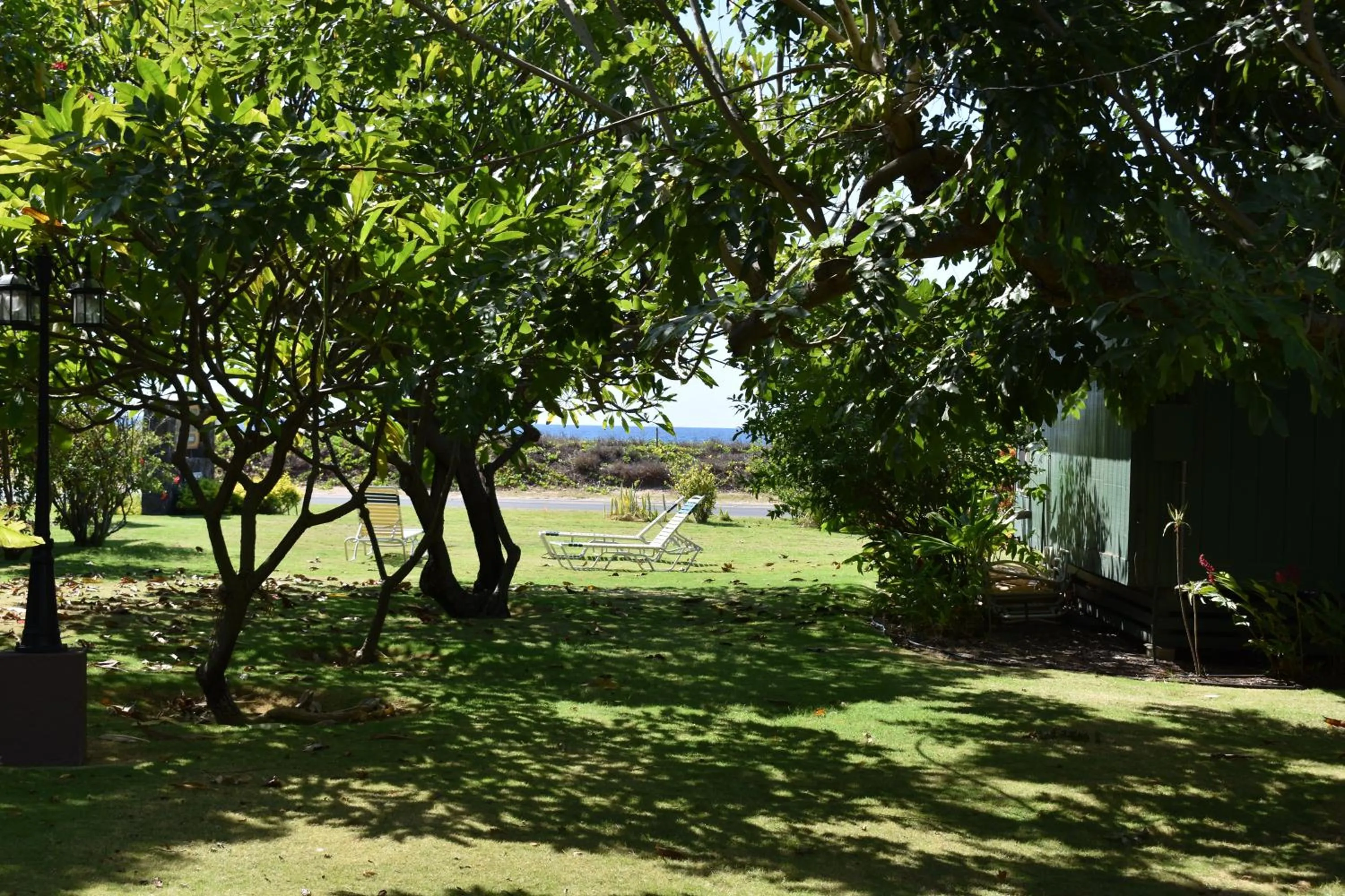 Garden in Nona Lani Cottages