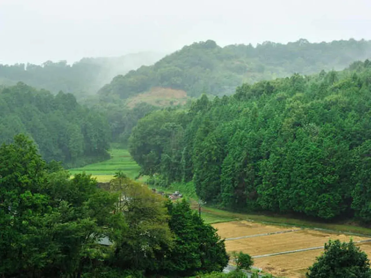 View (from property/room) in Mashikokan Satoyama Resort Hotel View (from property/room) in Mashikokan Satoyama Resort Hotel