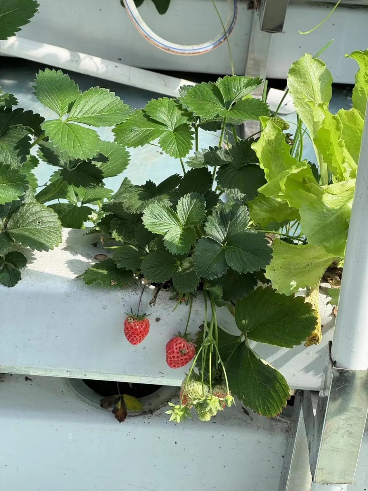 Shaoxing Laotaimen Luxun Native Place Youth Hostel