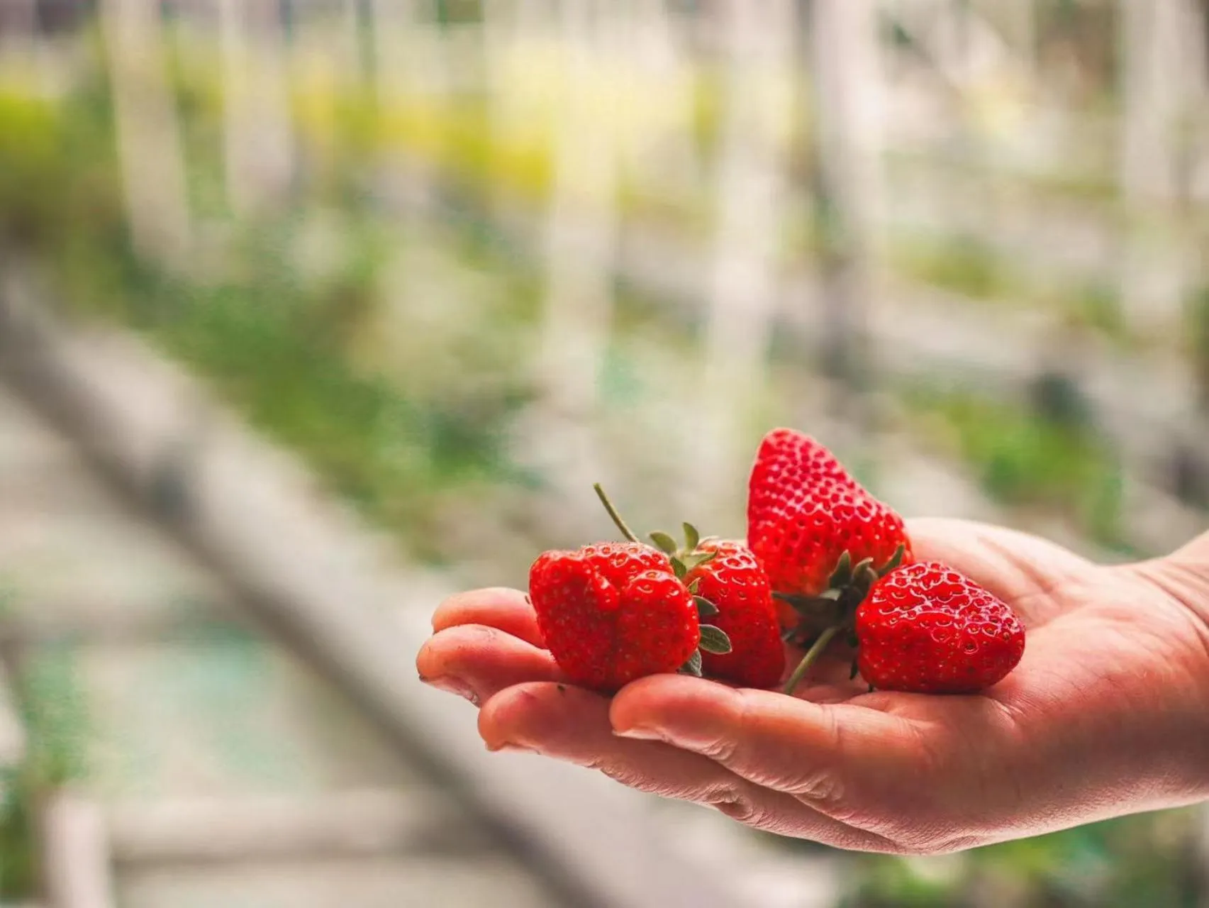 Shaoxing Laotaimen Luxun Native Place Youth Hostel