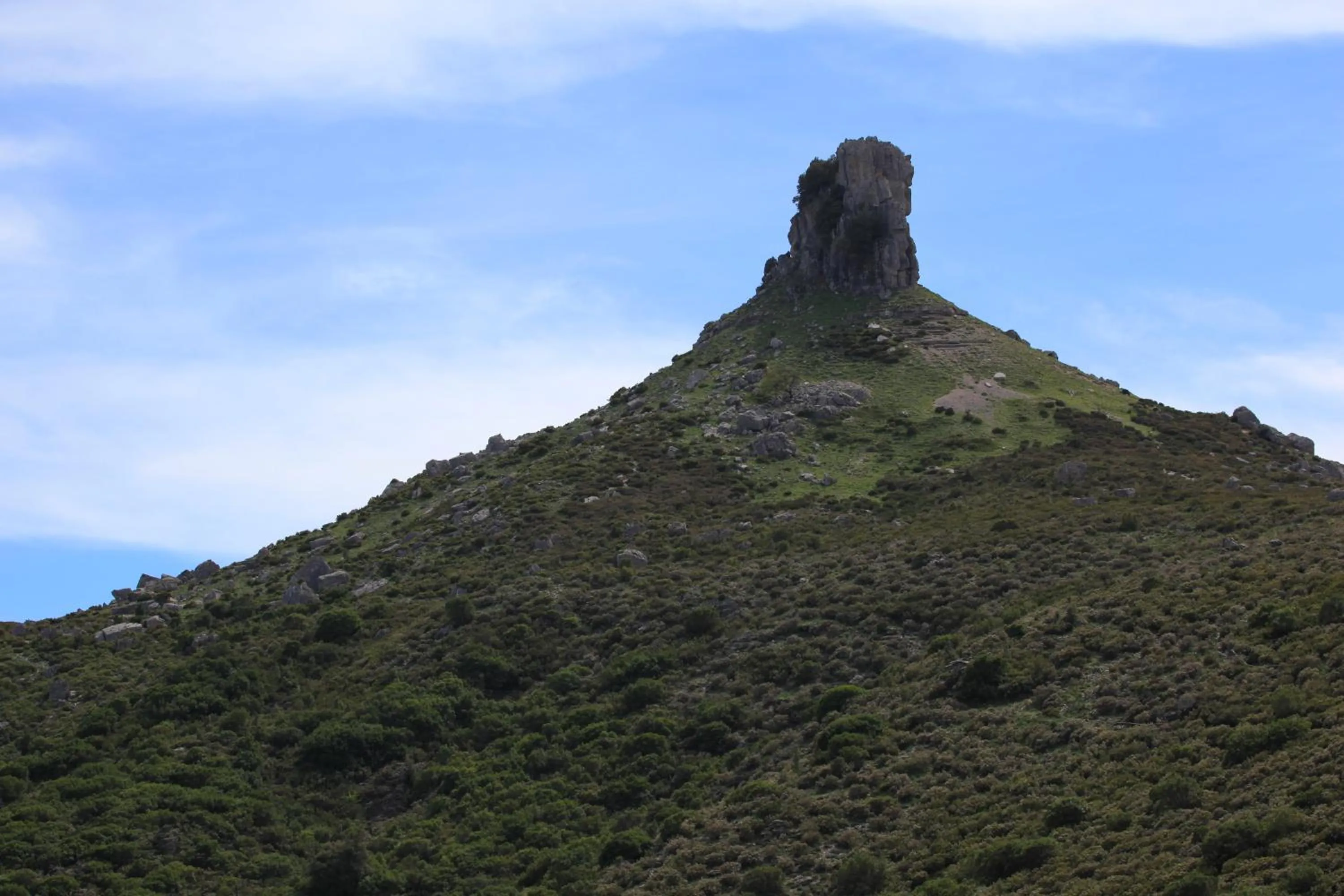 Area and facilities in Nascar Hotel