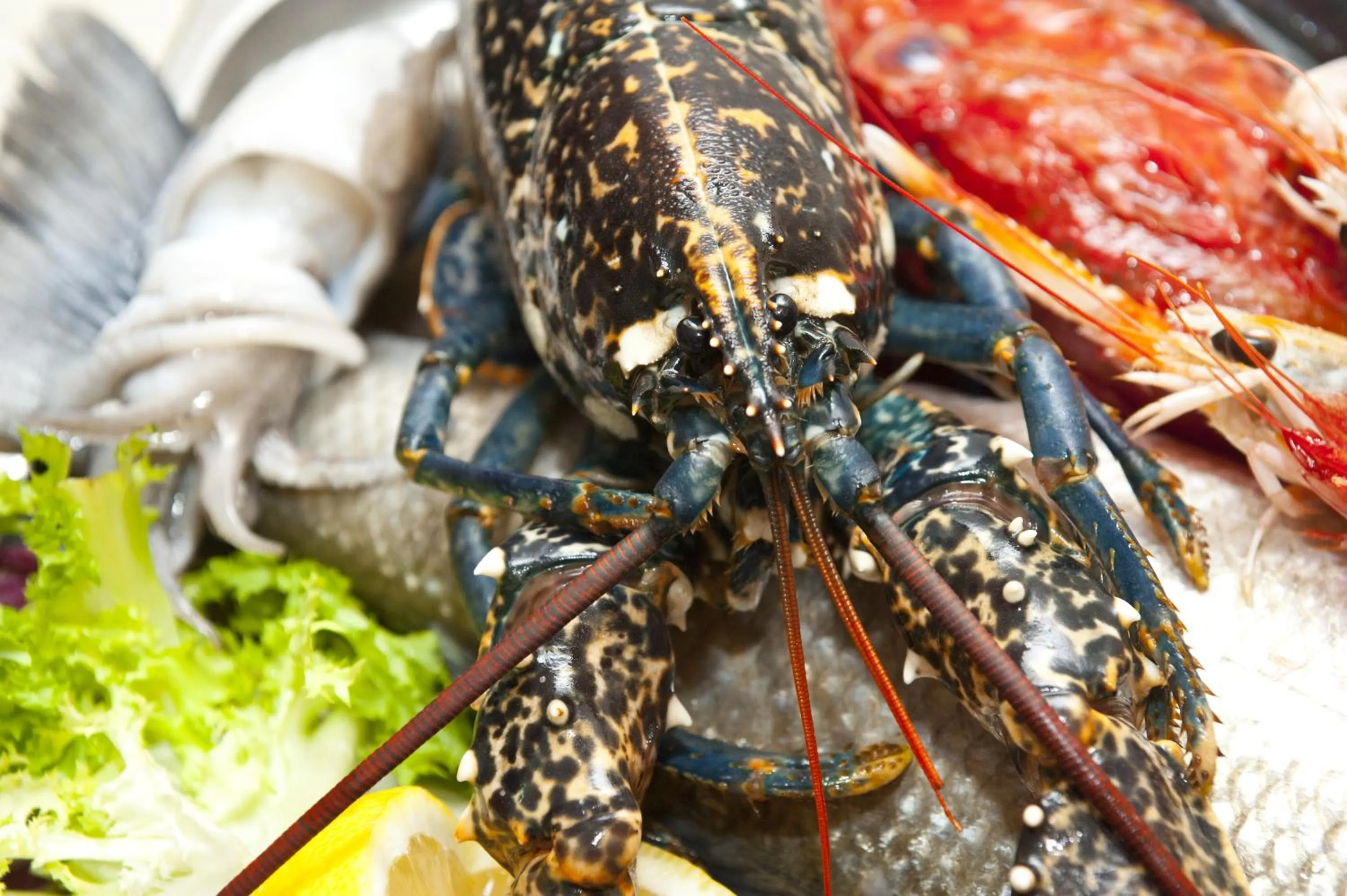 Restaurant/places to eat in Nascar Hotel