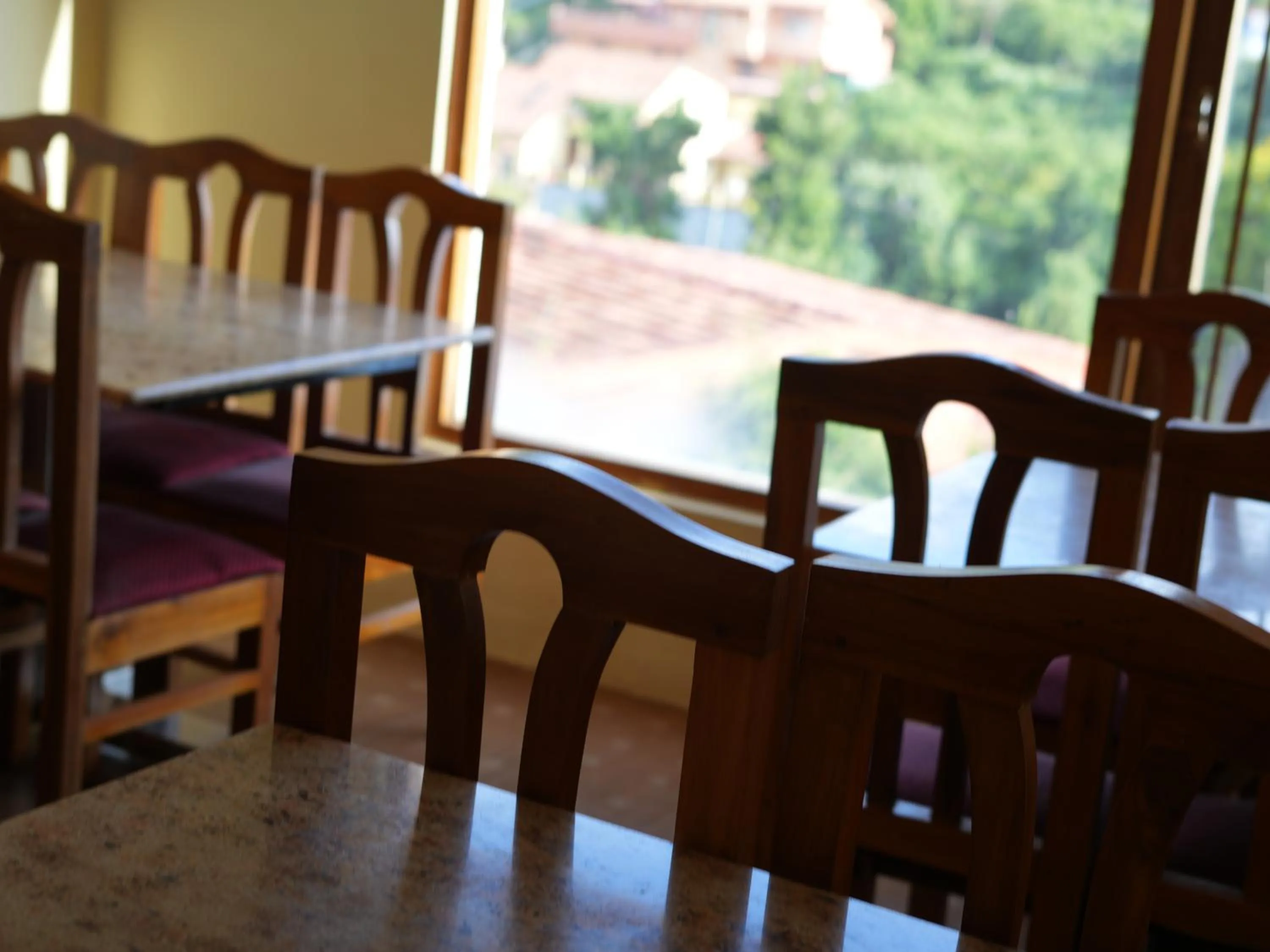 Satya Anand Cottage Pure Veg and Non Alcoholic Hotel