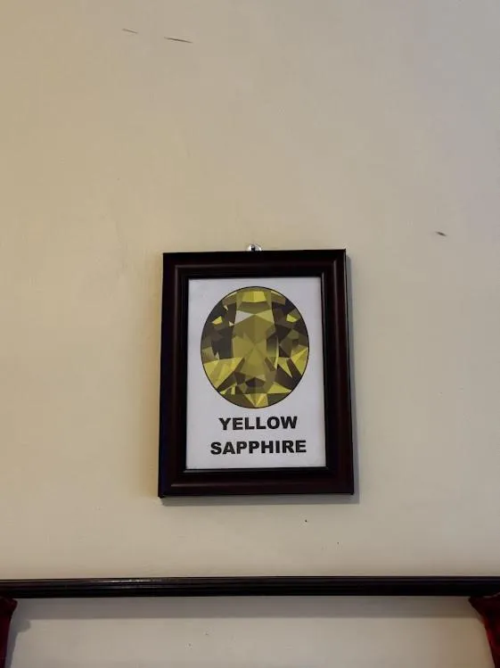 Satya Anand Cottage Pure Veg and Non Alcoholic Hotel