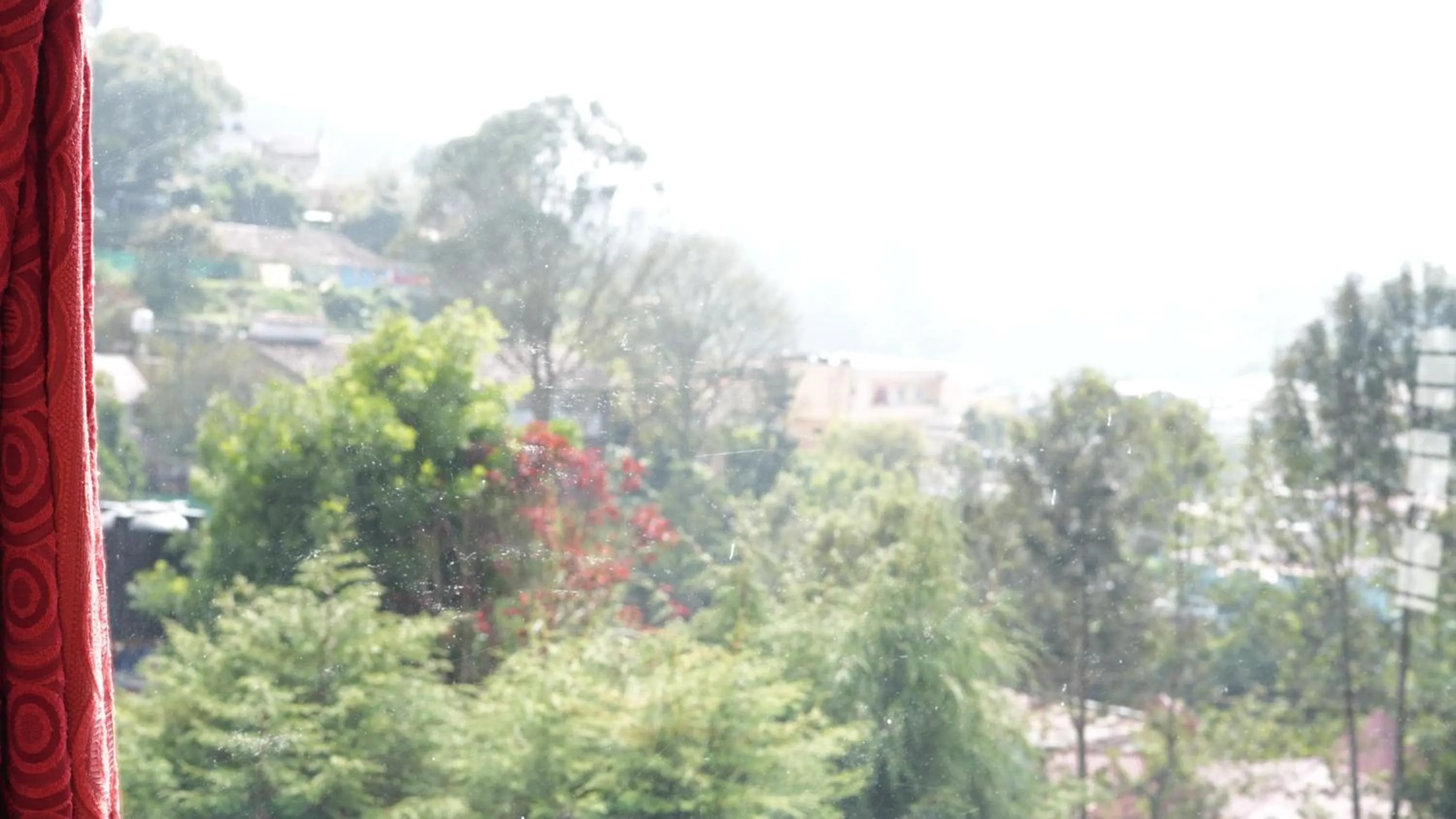 Satya Anand Cottage Pure Veg and Non Alcoholic Hotel