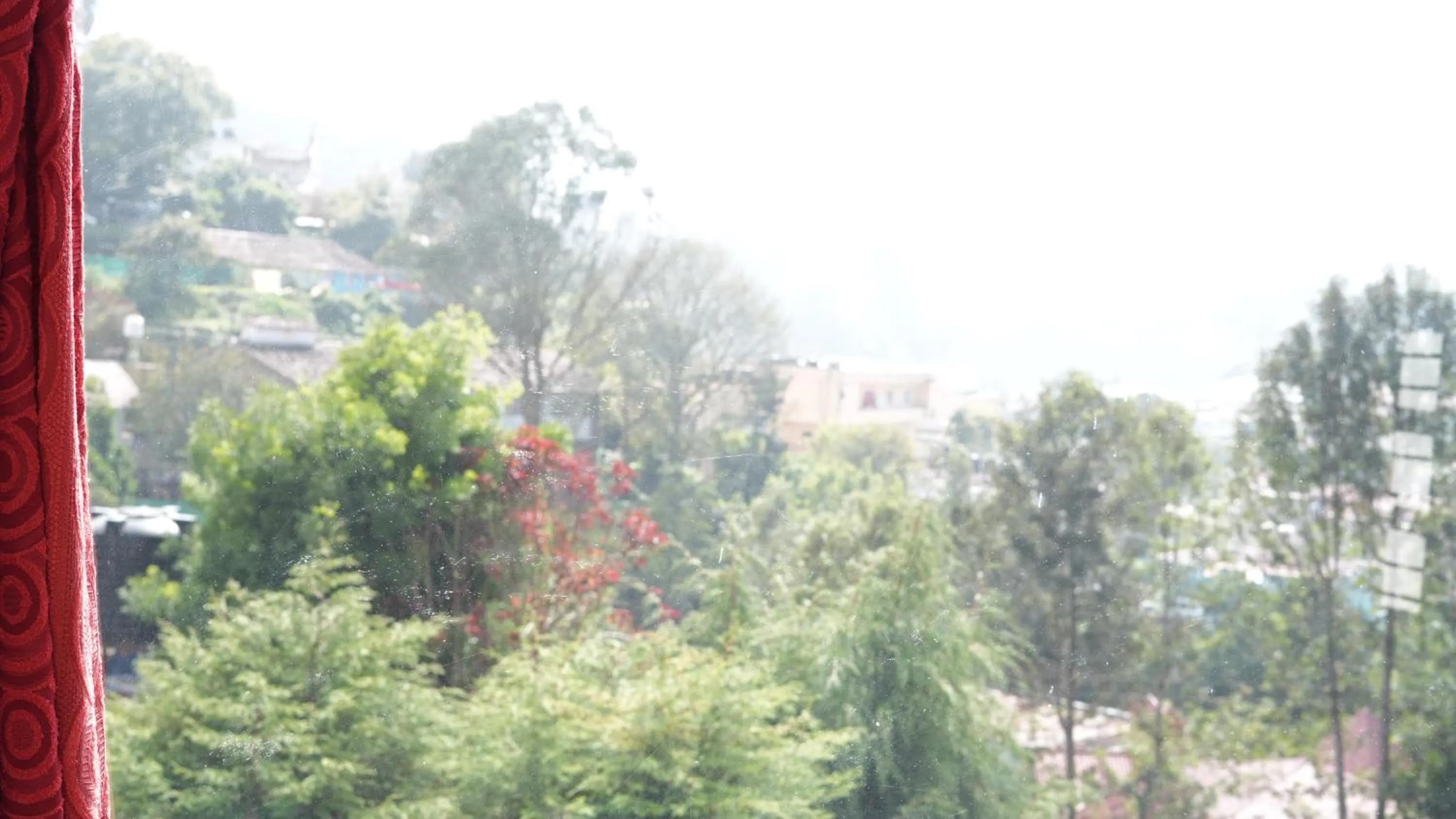 Satya Anand Cottage Pure Veg and Non Alcoholic Hotel