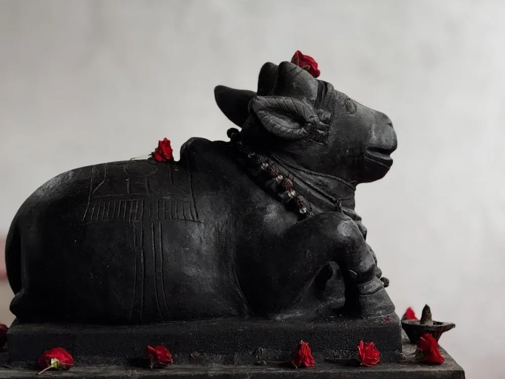 Satya Anand Cottage Pure Veg and Non Alcoholic Hotel