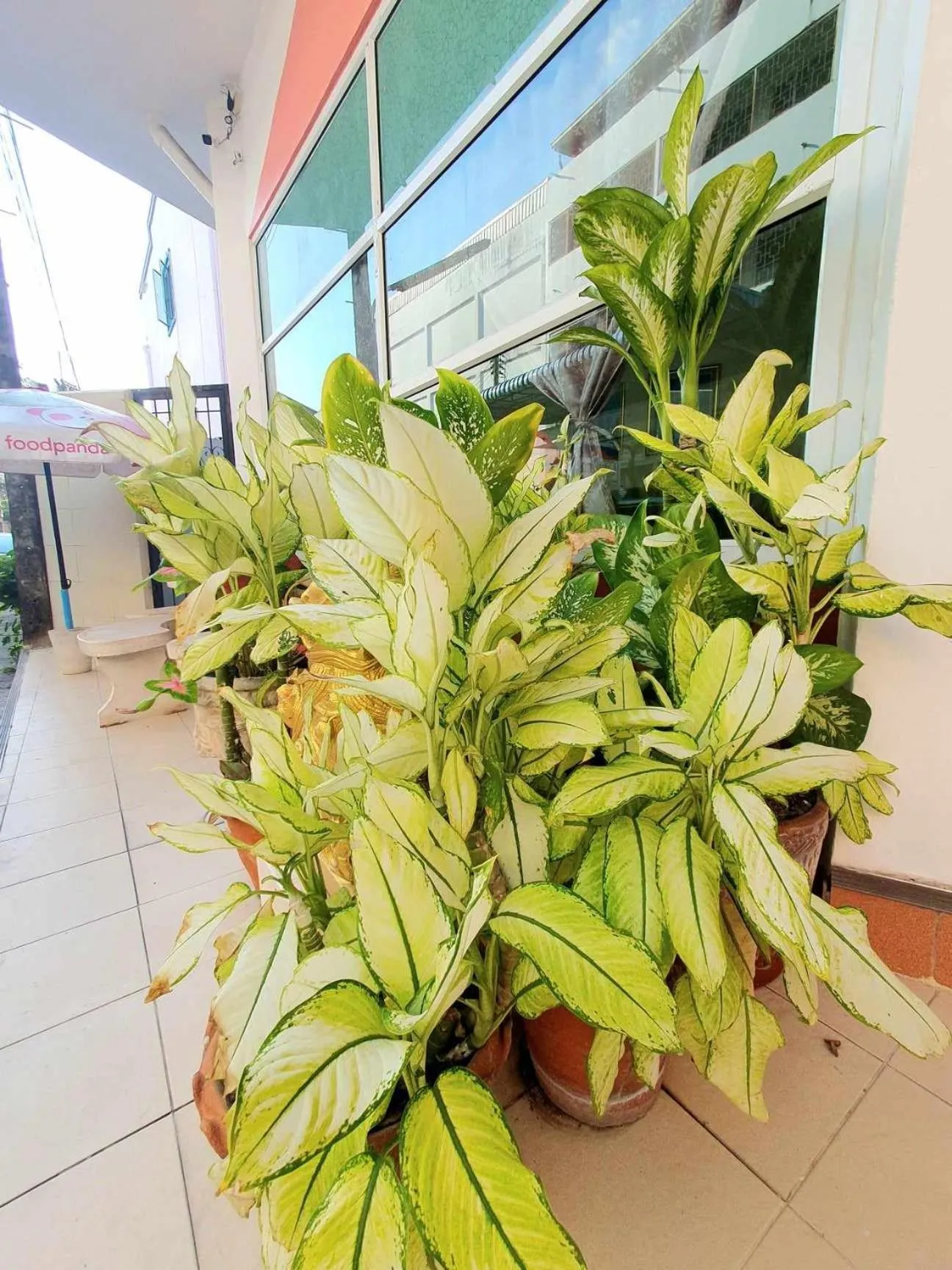 Property building in City Inn Udonthani