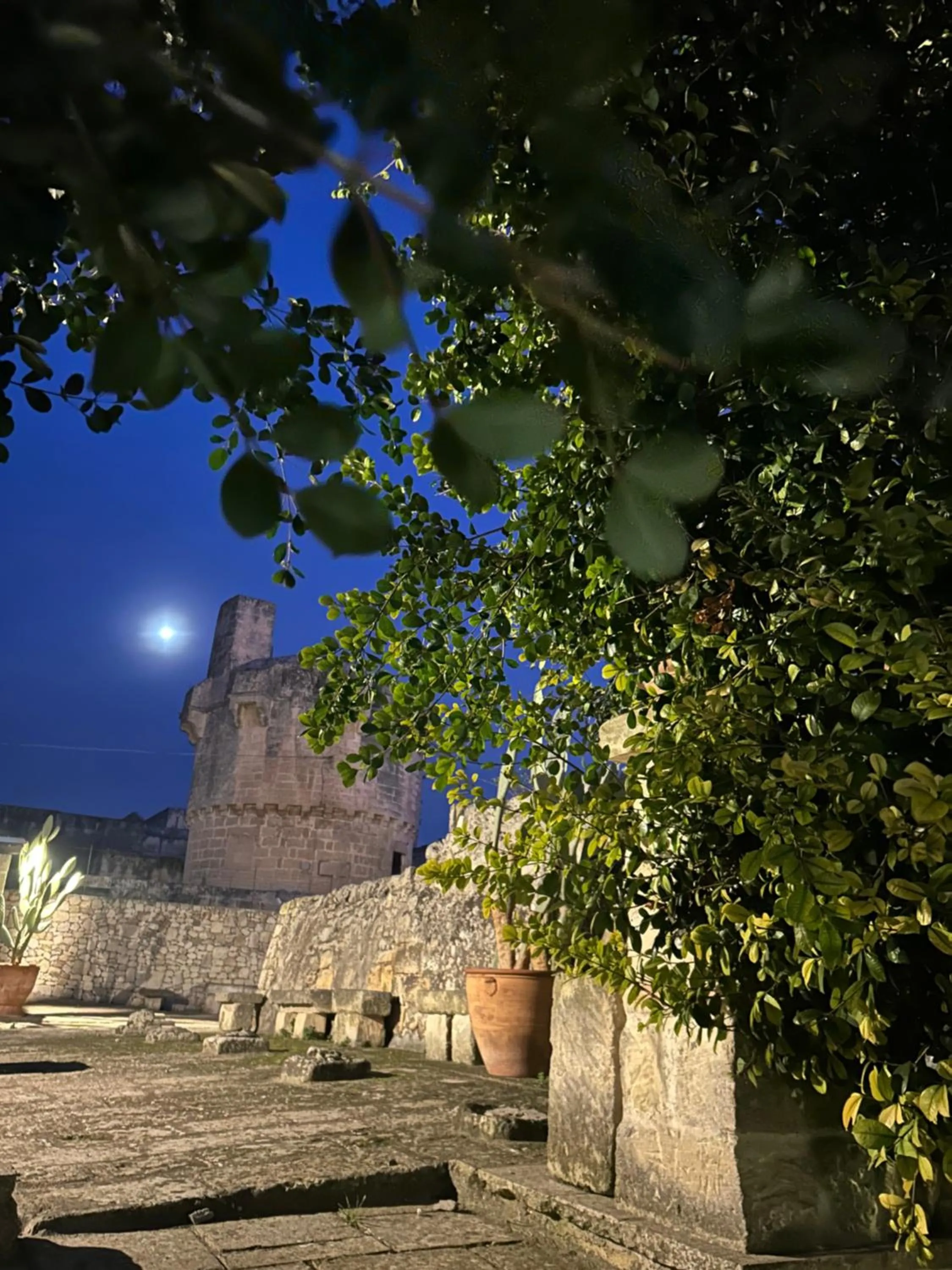 Il Giardino Segreto