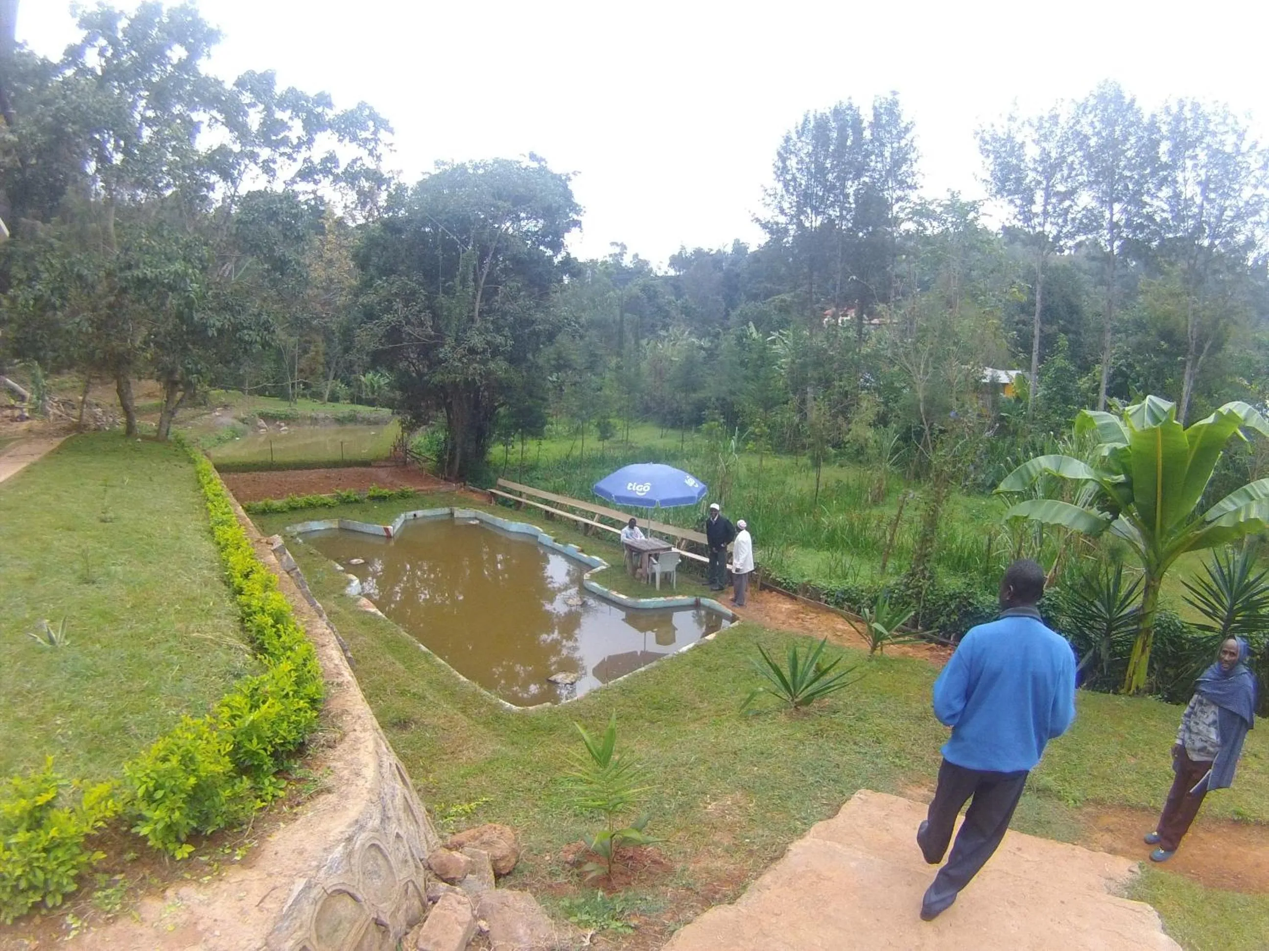 Garden in Kakakuona Resort