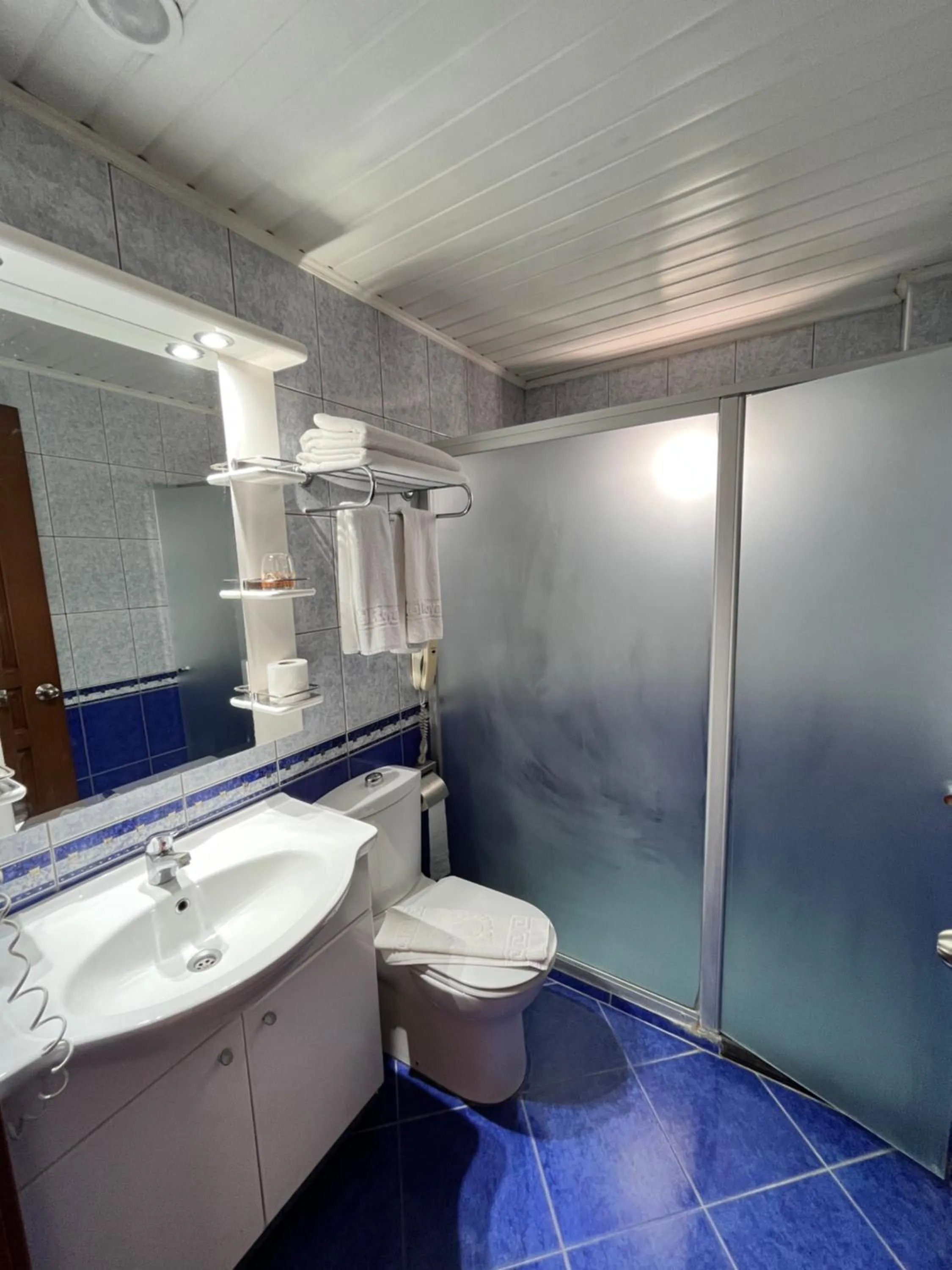 Bathroom in Hotel Royal Hill