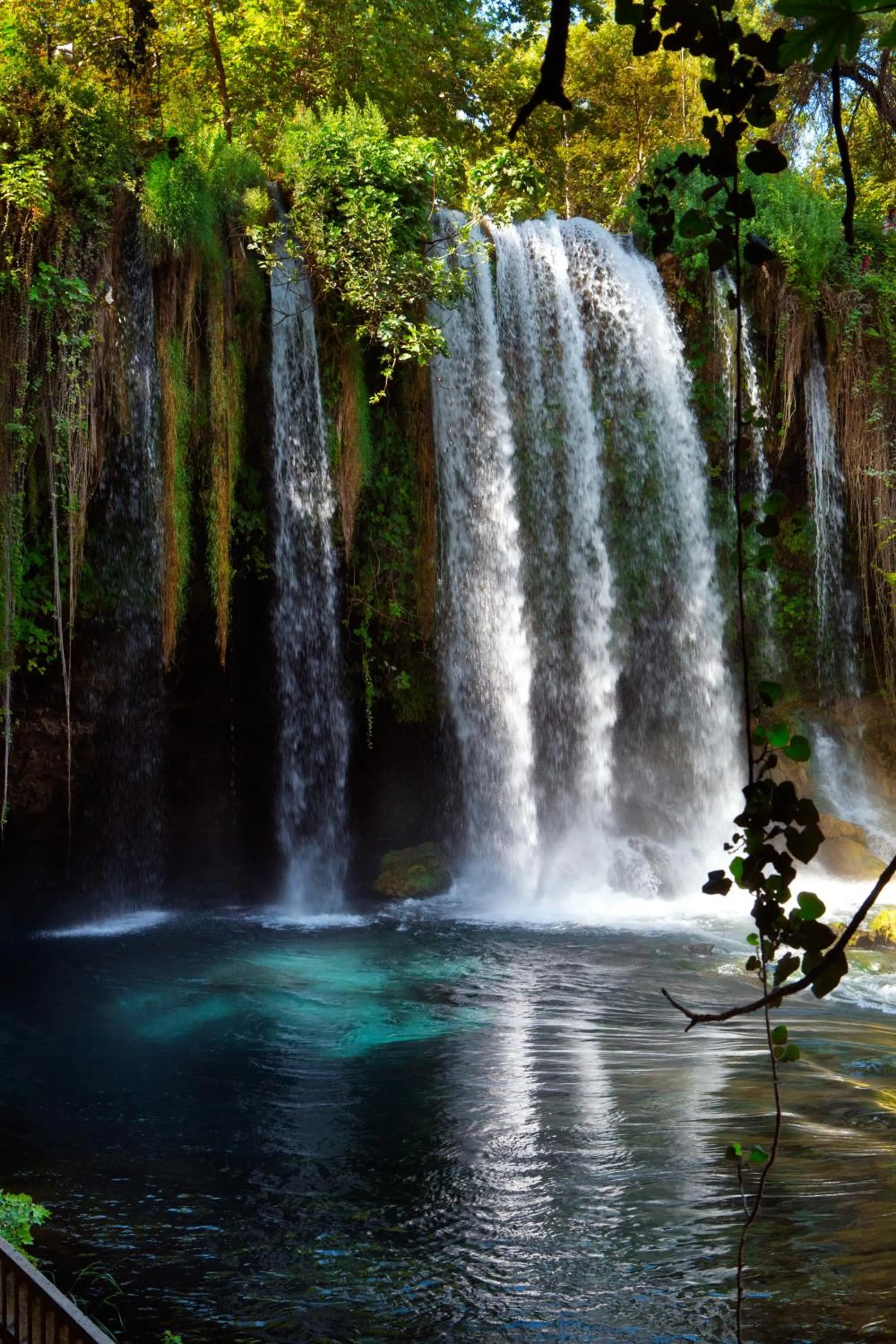 Activities in Hotel Royal Hill