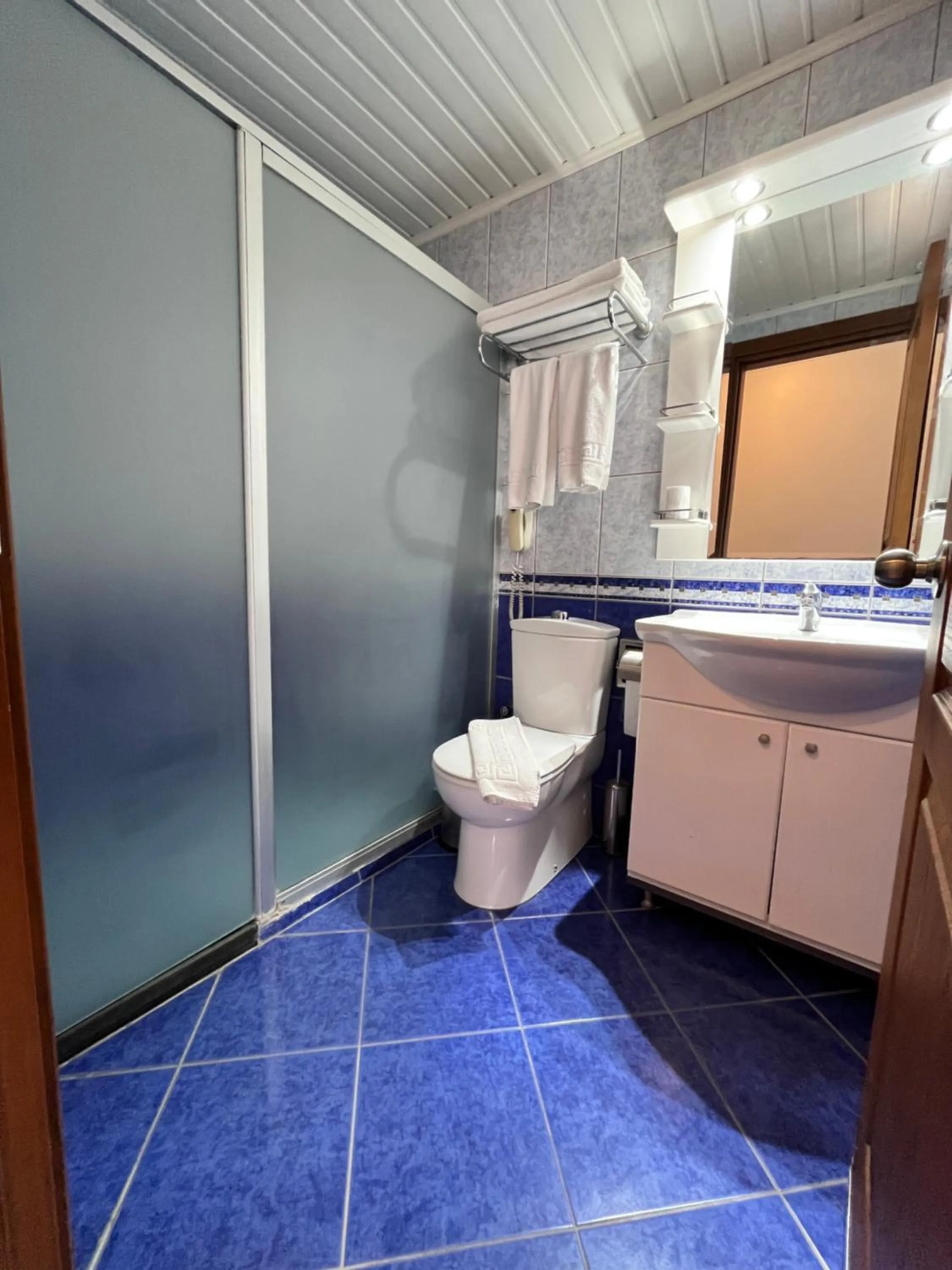 Toilet in Hotel Royal Hill