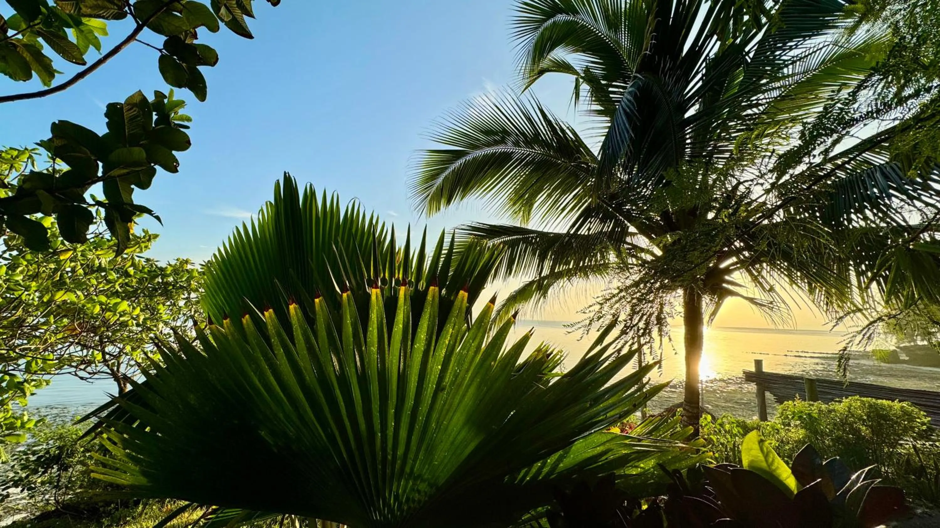 Sea view in Marafiki Bungalows