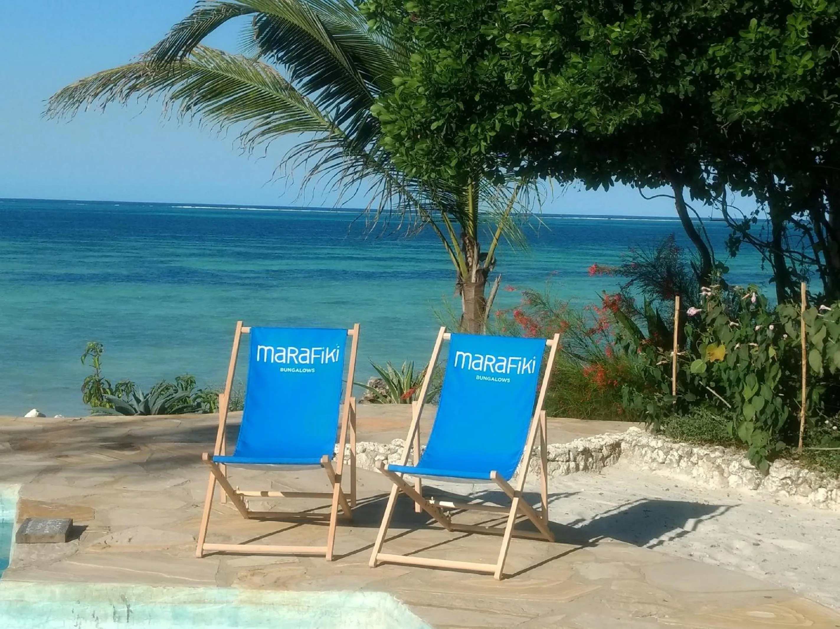 Activities in Marafiki Bungalows