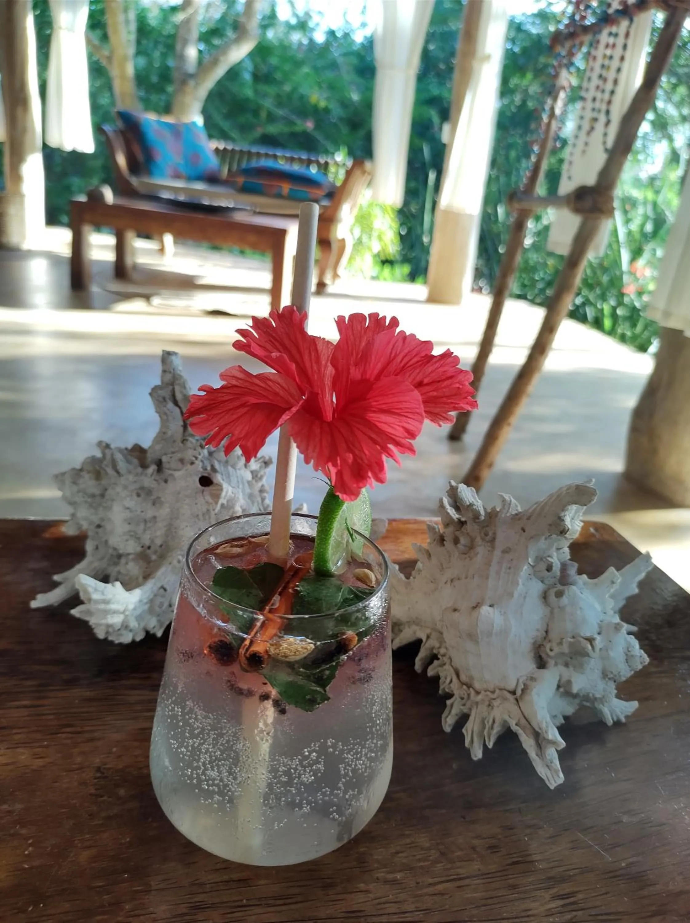 Property building in Marafiki Bungalows