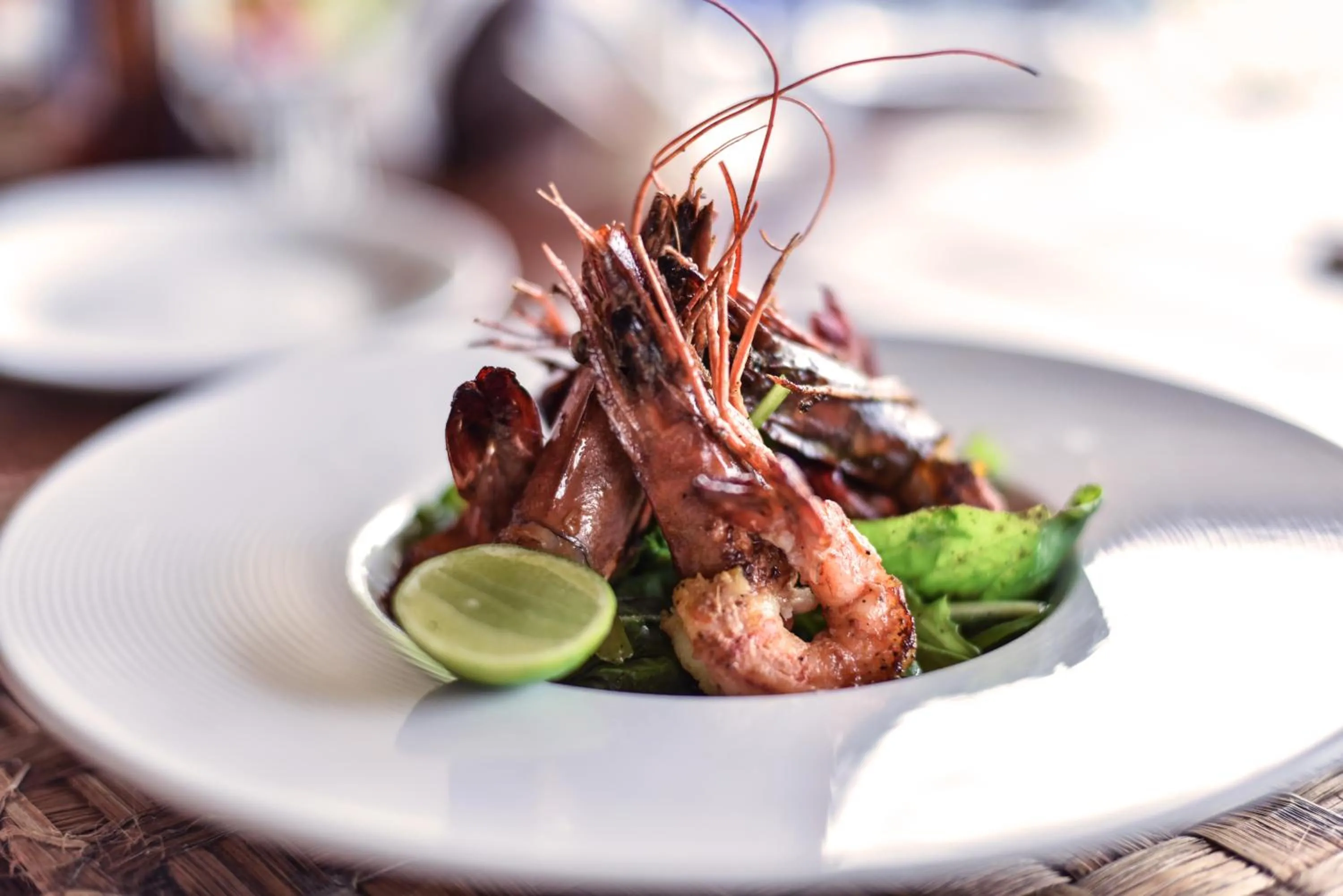 Food close-up in Marafiki Bungalows