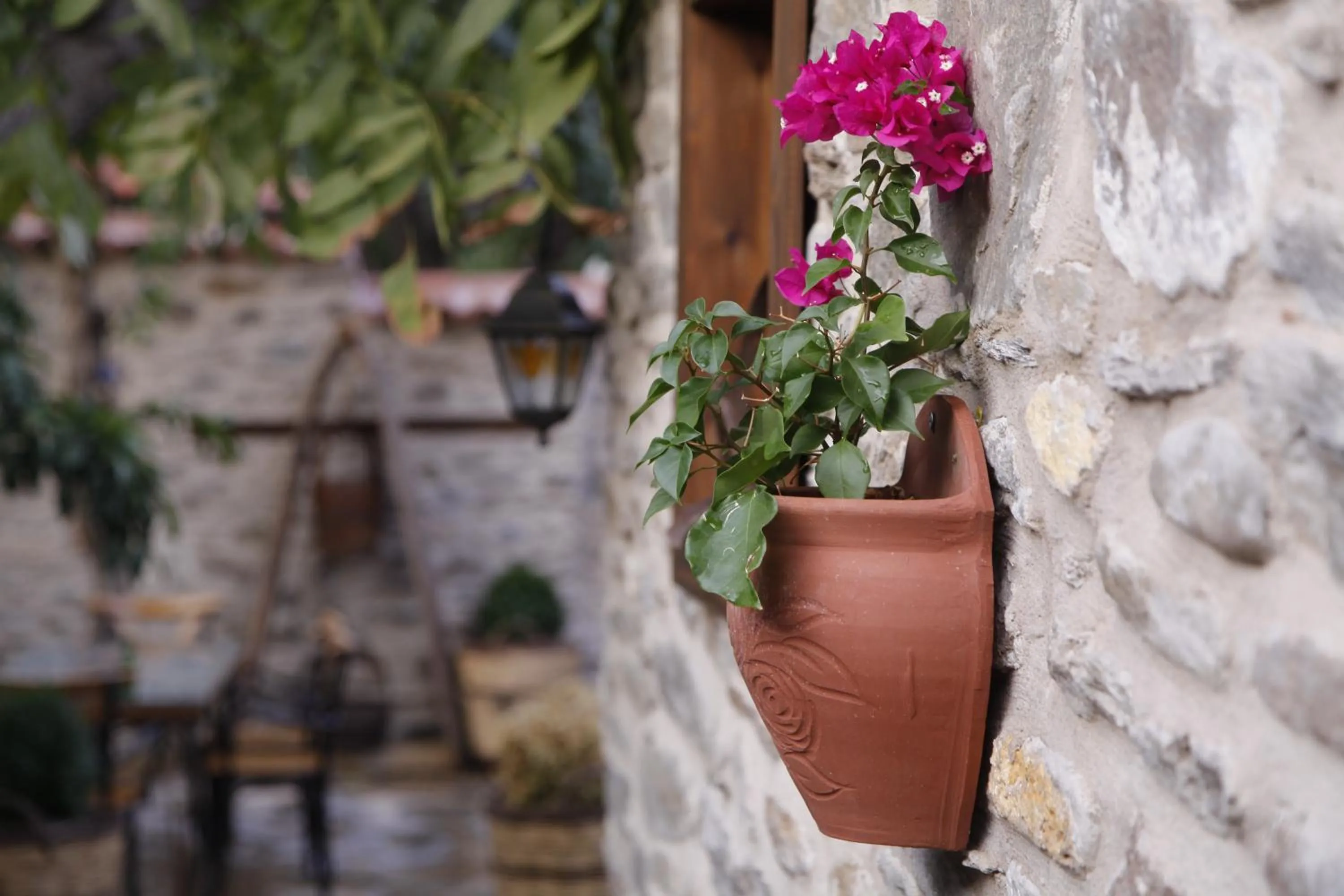 Garden in Yeni Gelin Evi