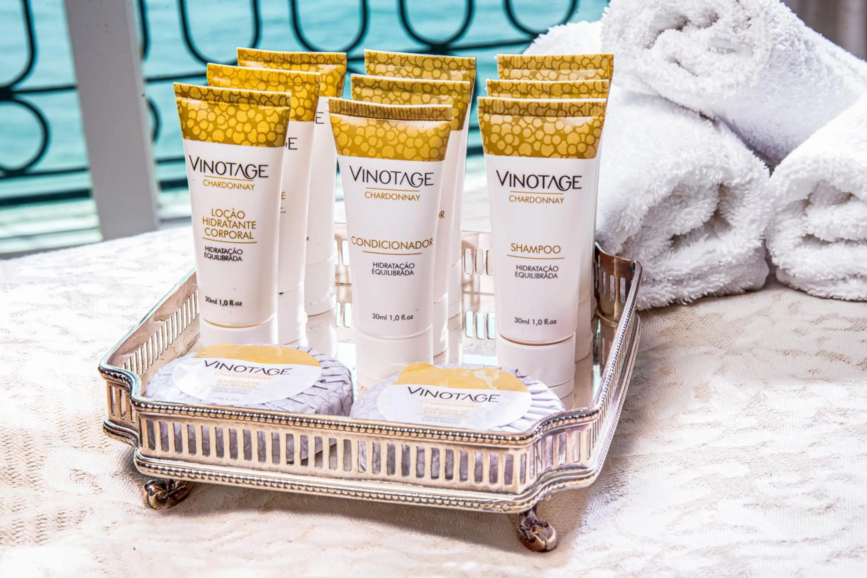 Area and facilities in Miramar By Windsor Copacabana